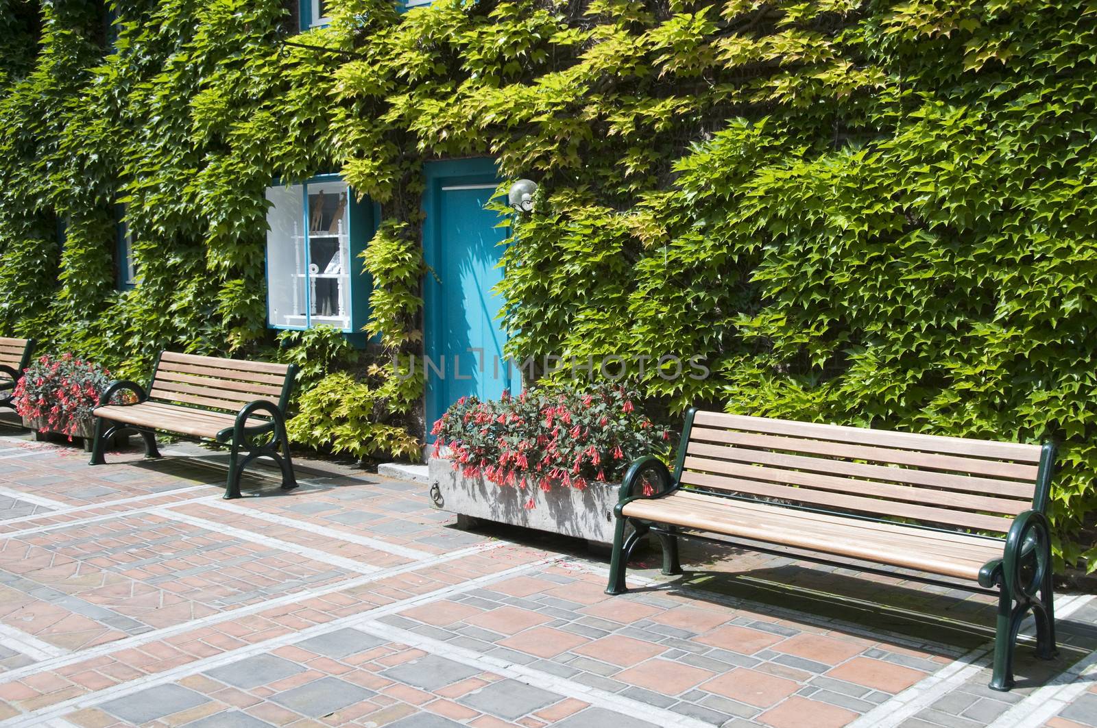 place to sit and relax in park with blue door between the green wall