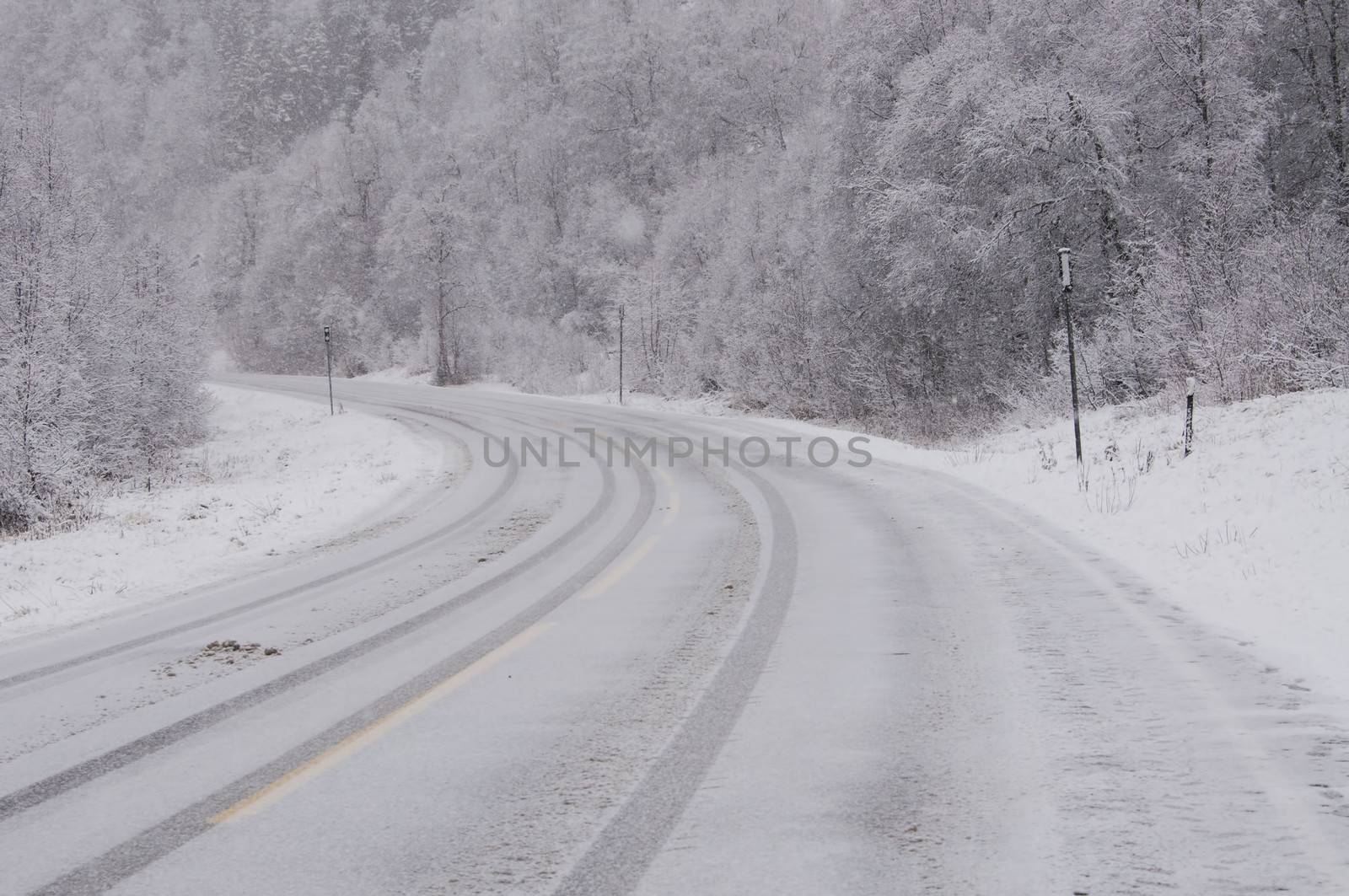 A snow covered road in the forest with visible snowflakes