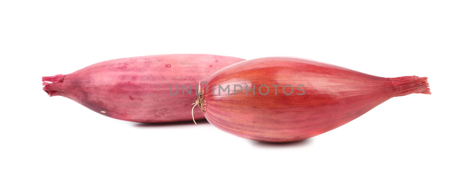 Close up of two red onions. Isolated on a white background.