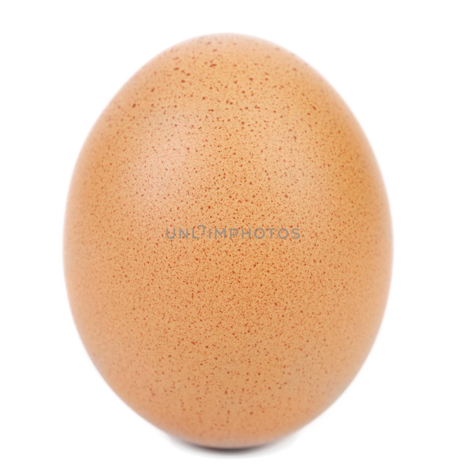 Close up of white egg. Isolated on a white background