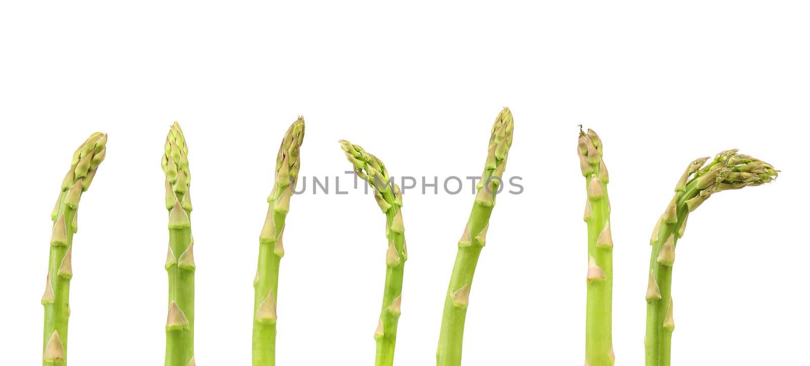 The top of some asparagus on a white background.