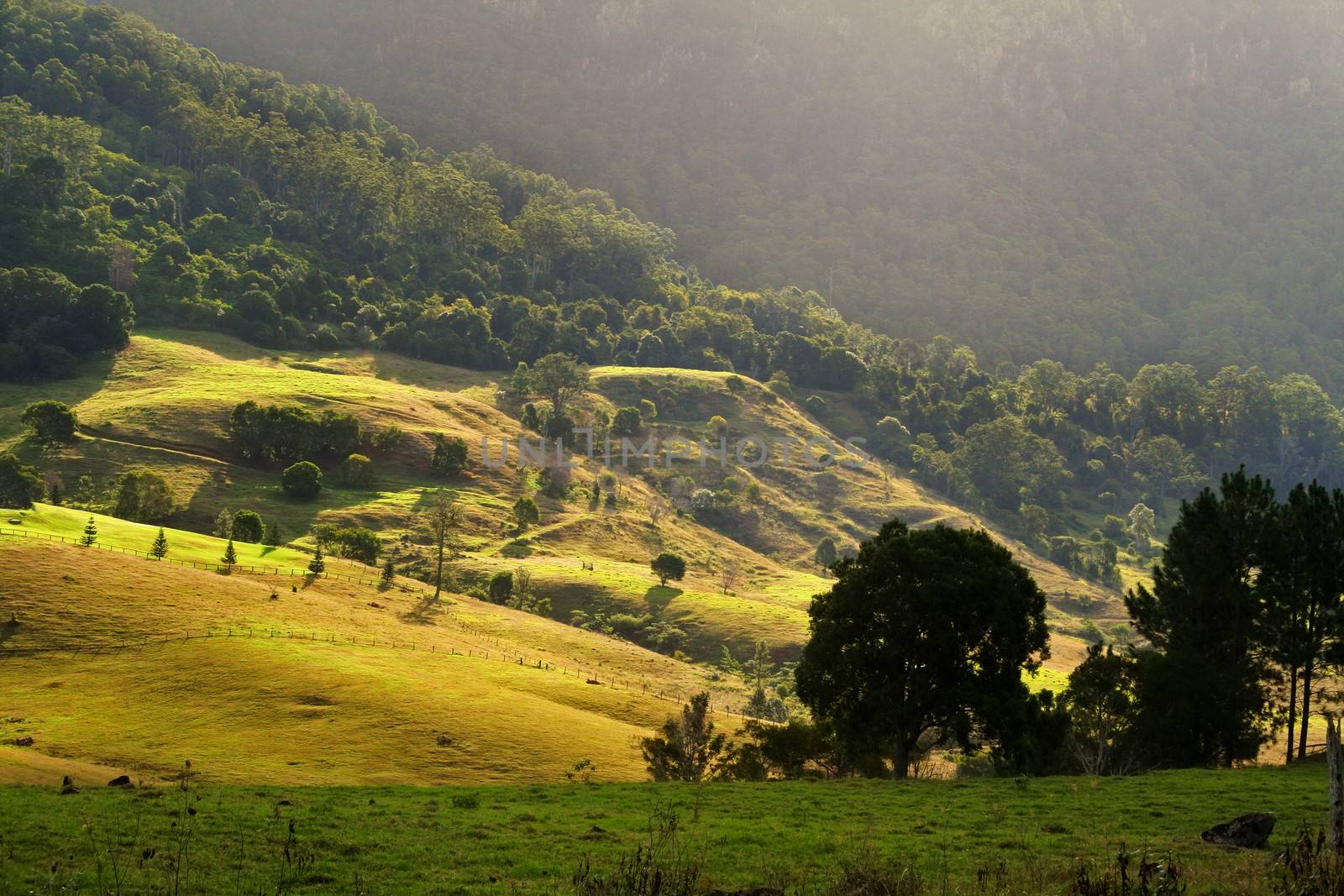 Sun bathed rolling hills at the base of mountains at sunset.