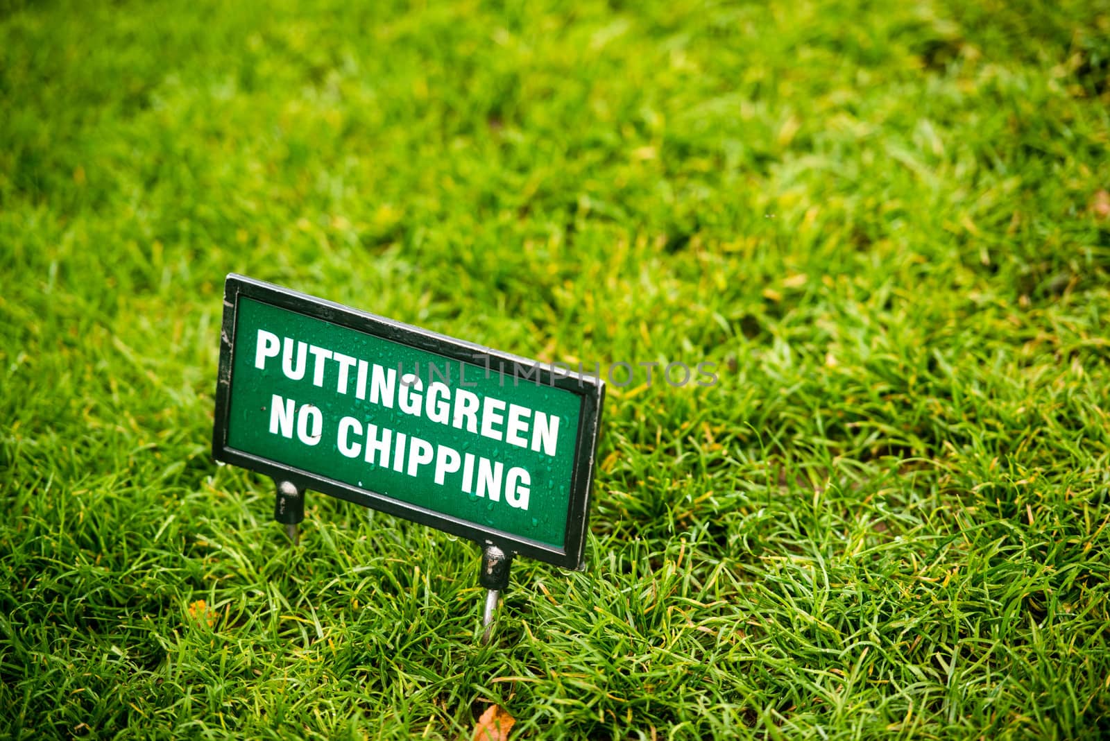 Putting green at the golf course with sign "putting green - no chipping"
