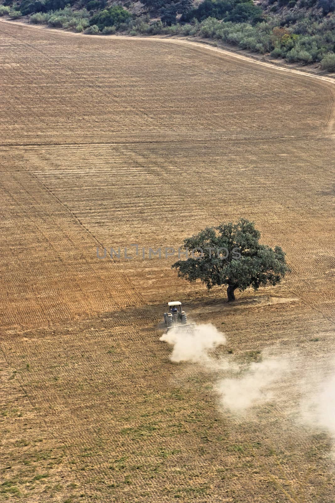 tractor on field, spain