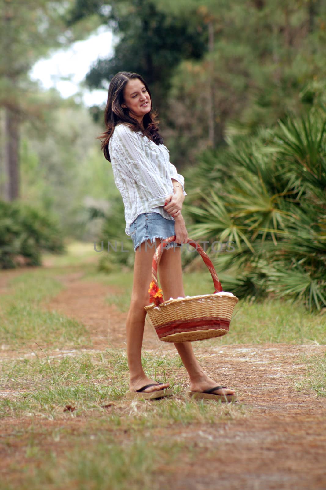 A lovely young brunette carries a picnic basket on a tranquil forest trail.