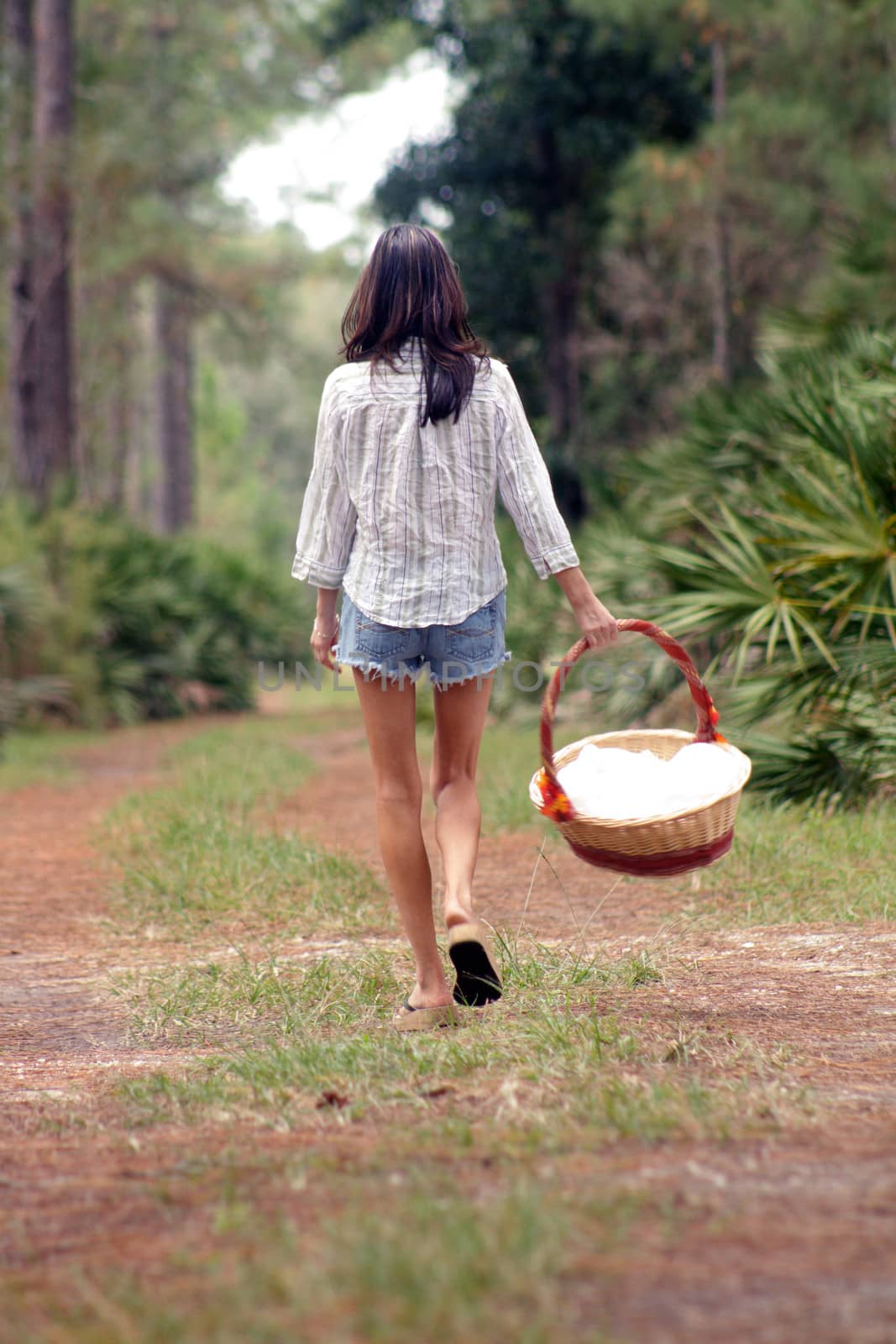 A lovely young brunette carries a picnic basket on a tranquil forest trail.