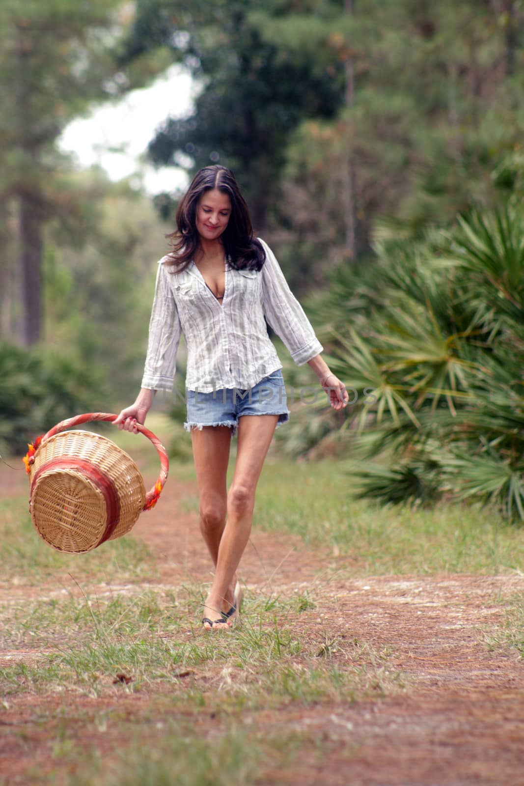 A lovely young brunette carries a picnic basket on a tranquil forest trail.