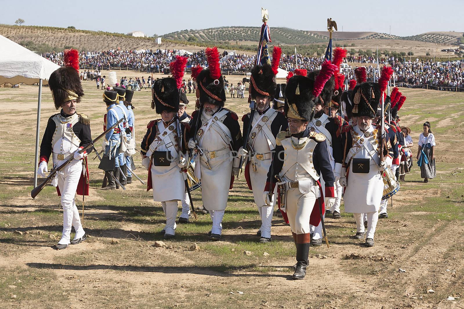 French troops parading on the battlefield during the Representation of the Battle of Bailen, Bailen  Jaen province, Andalusia, Spain