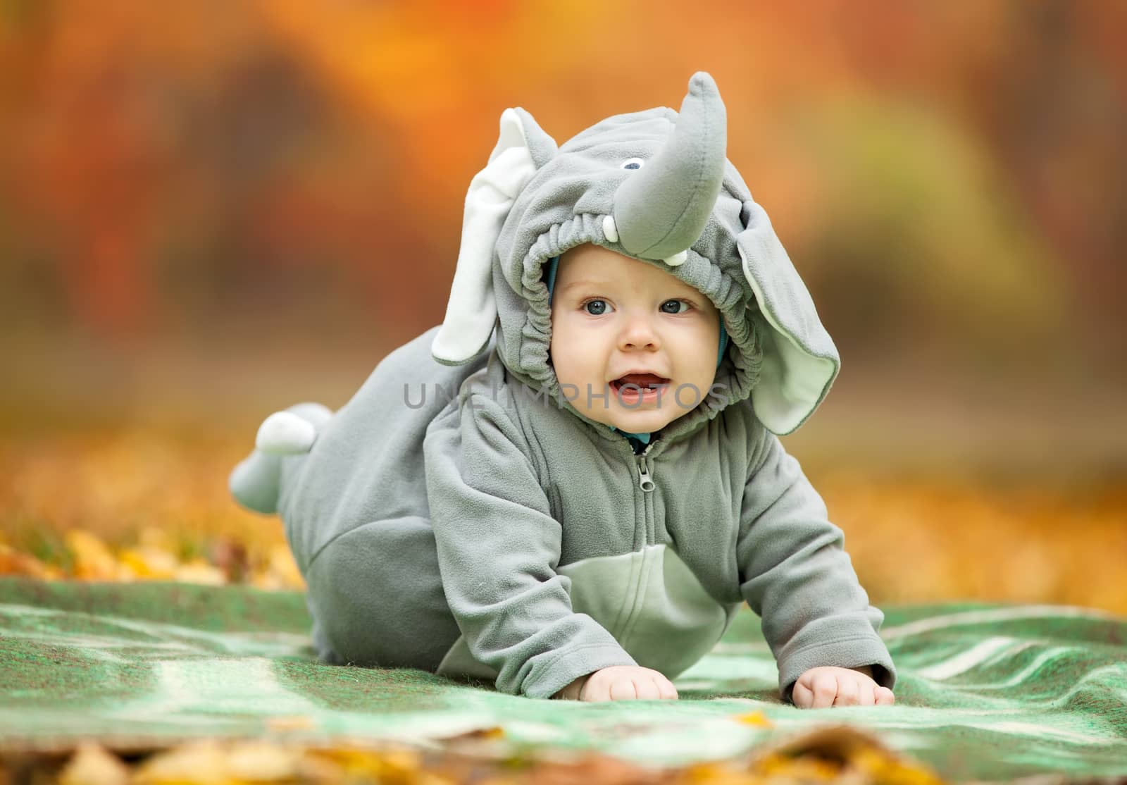 Baby boy dressed in elephant costume in autumn park