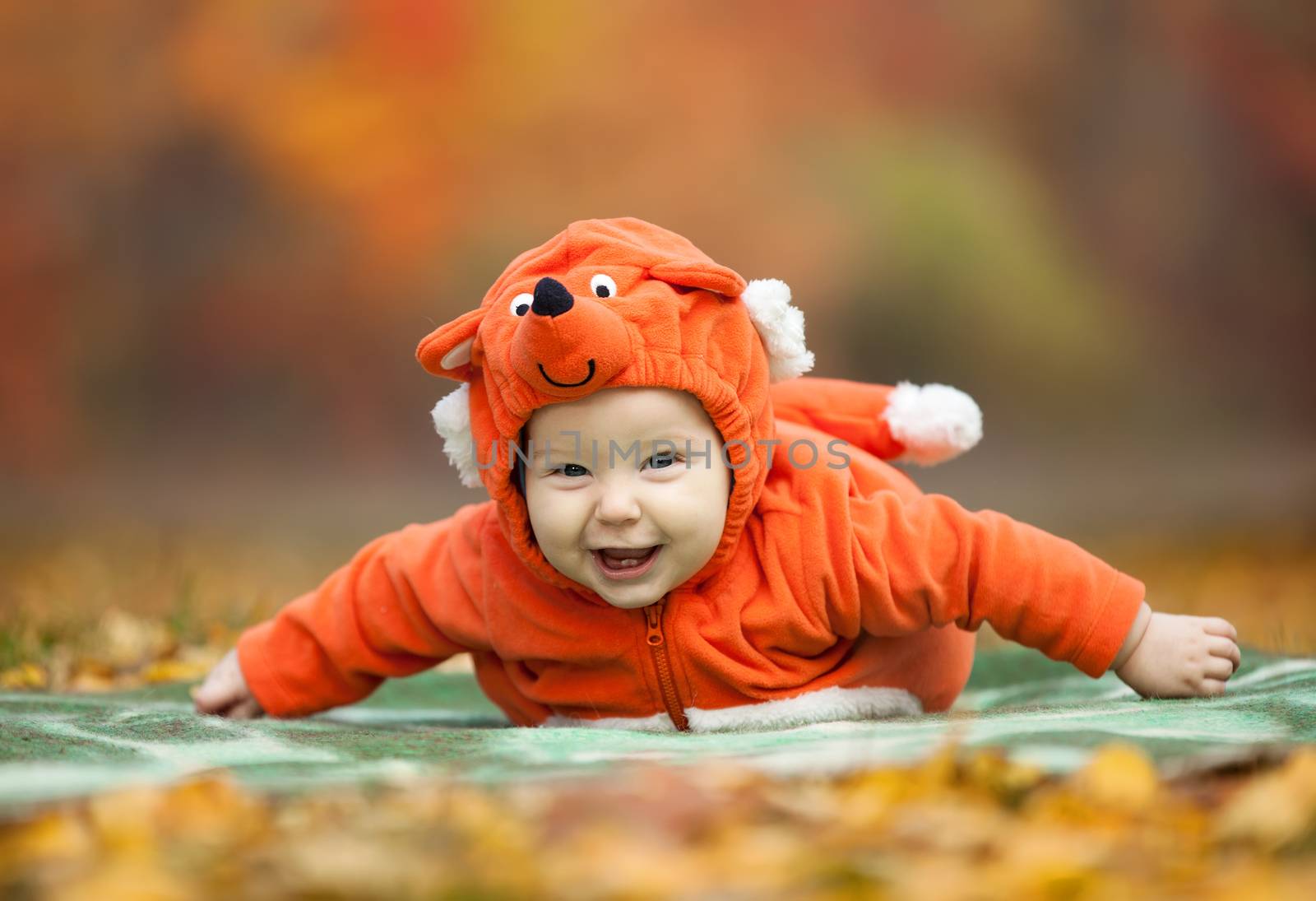 Smiling baby boy dressed in fox costume in autumn park
