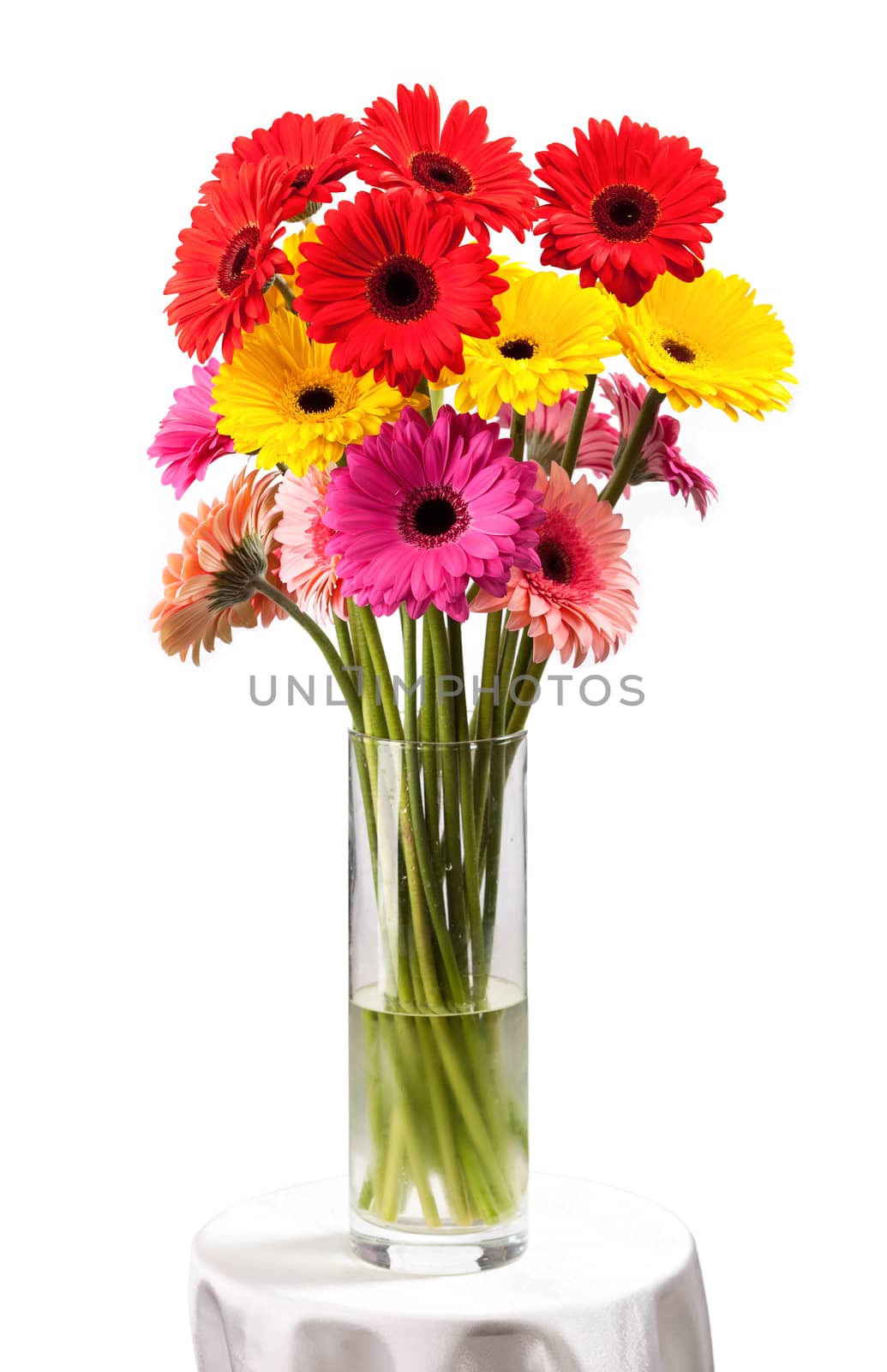 Gerbera flowers in vase isolated over white by photobac