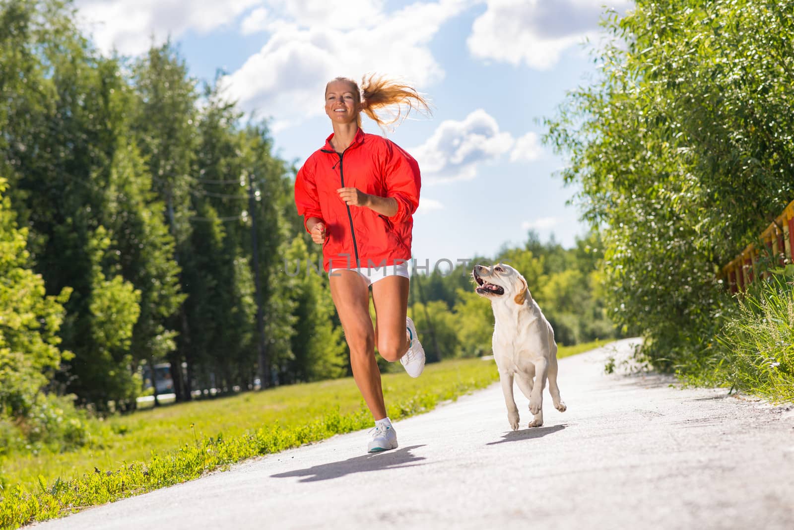 young athletic woman running on the road with white labrador, exercise outdoors