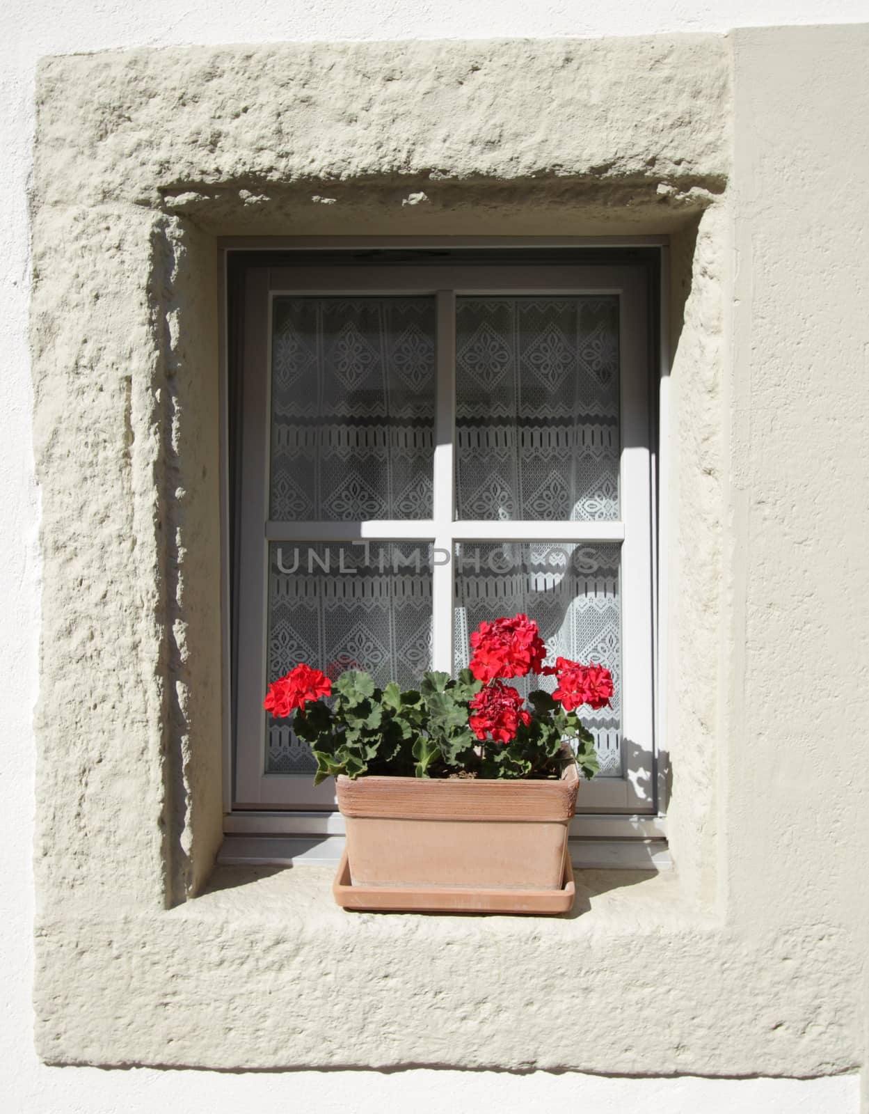 Red geranium flowers at the old window in white wall facade