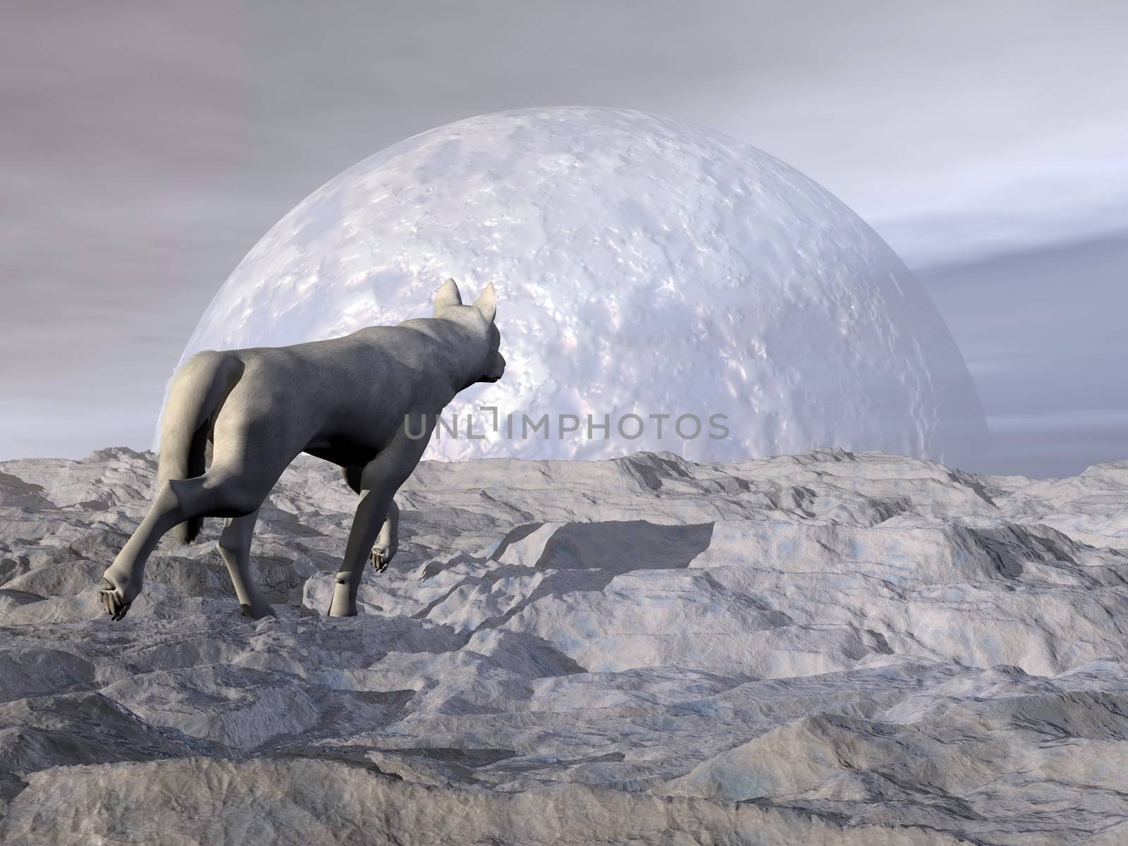 Wolf in winter - 3D render by Elenaphotos21
