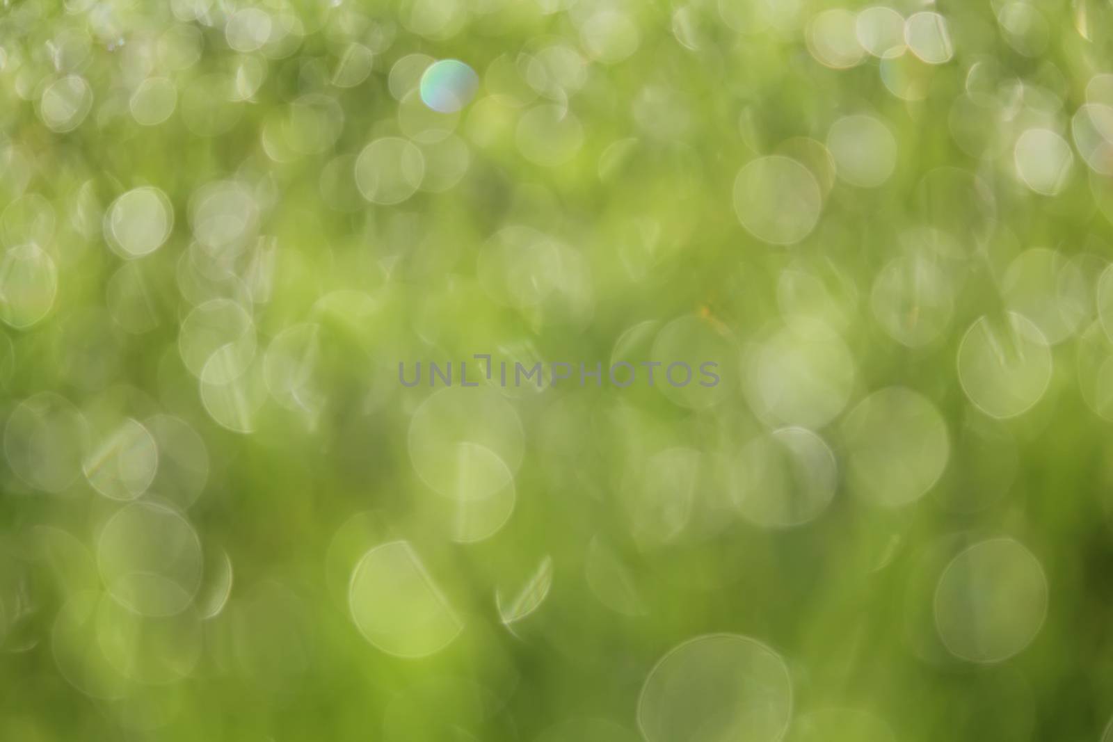 Abstract blurred soft background by dedmorozz