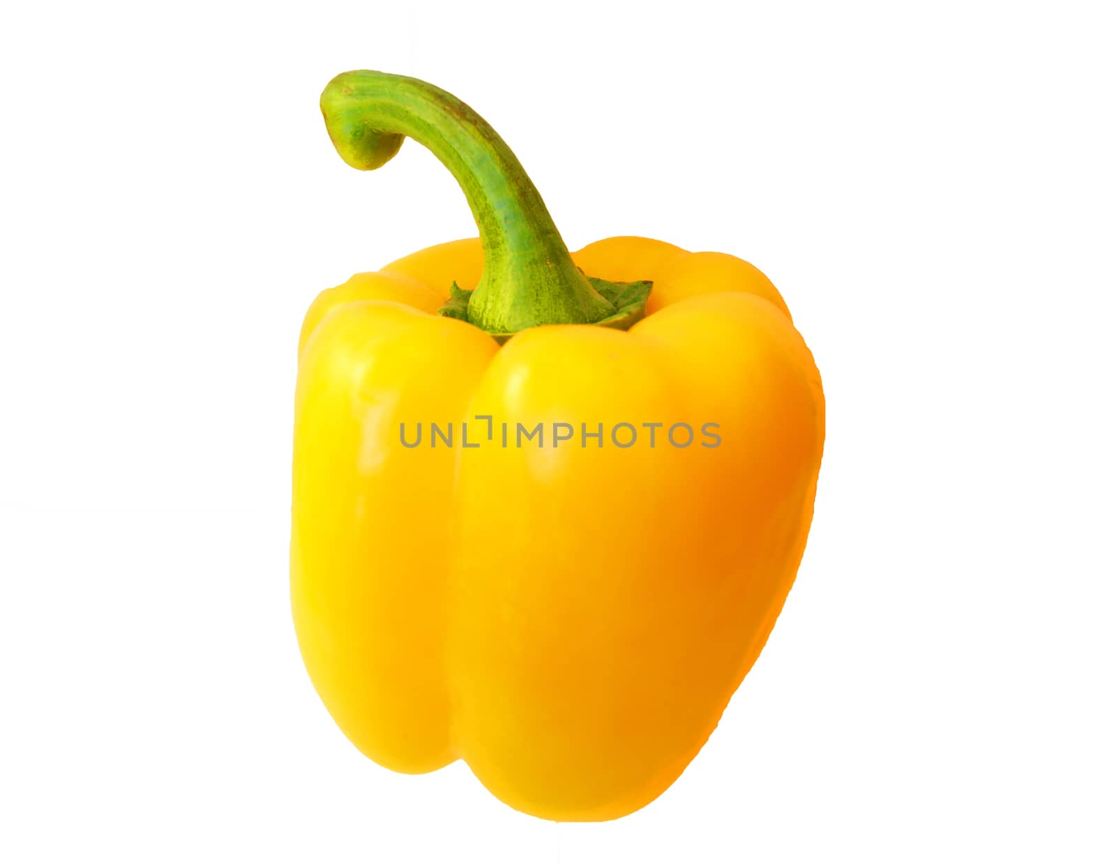 Yellow pepper on white background is insulated