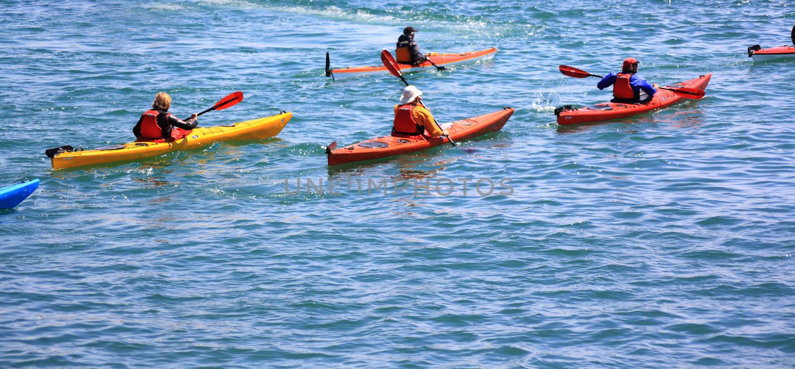 see kayak on Lake of Constance 