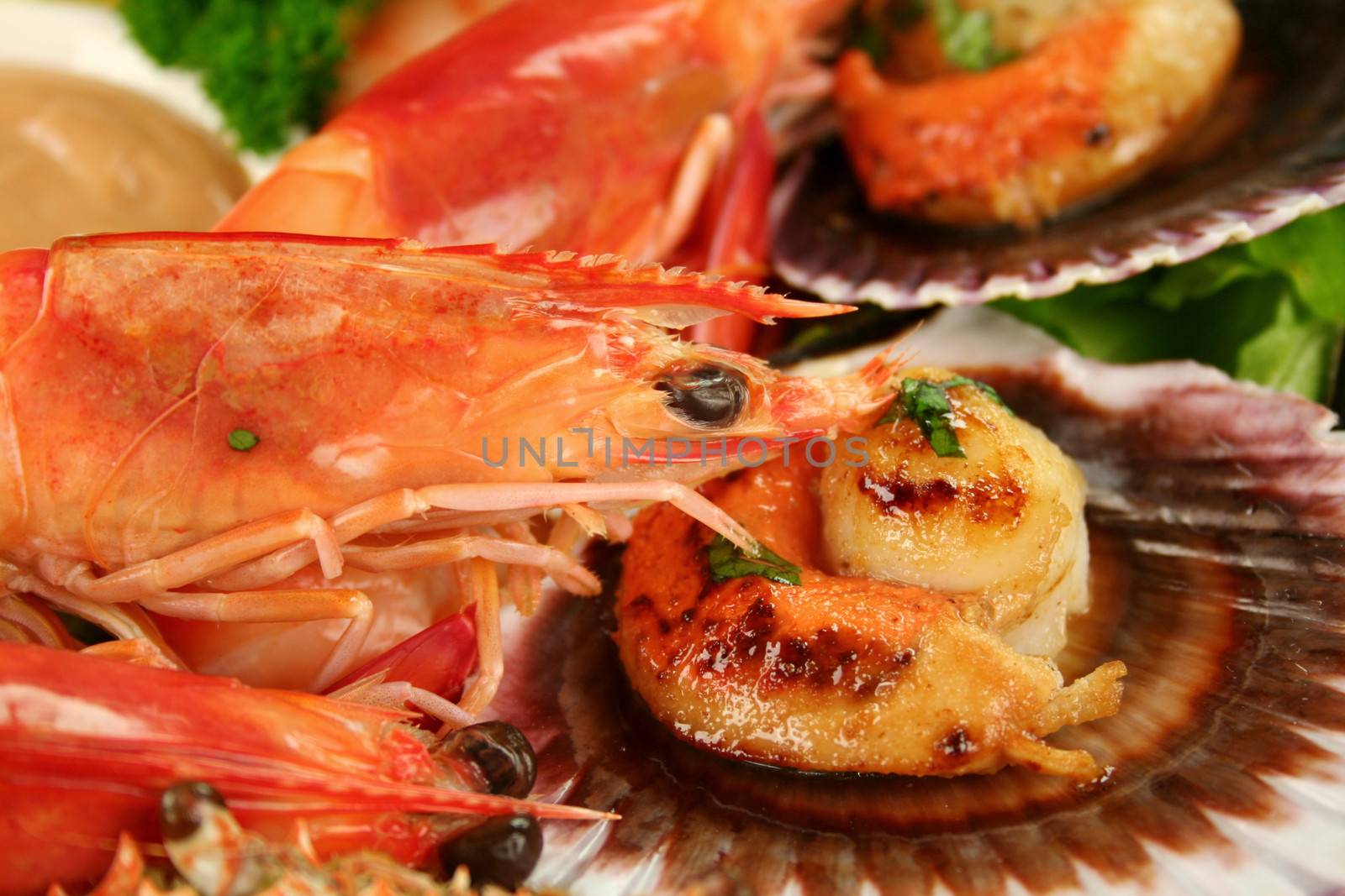 Fresh seafood platter of cooked shrimps and pan fried scallops and lemon.