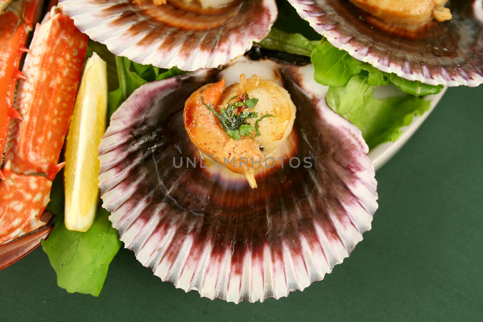 Fresh seafood platter of featuring pan fried scallops and lemon.