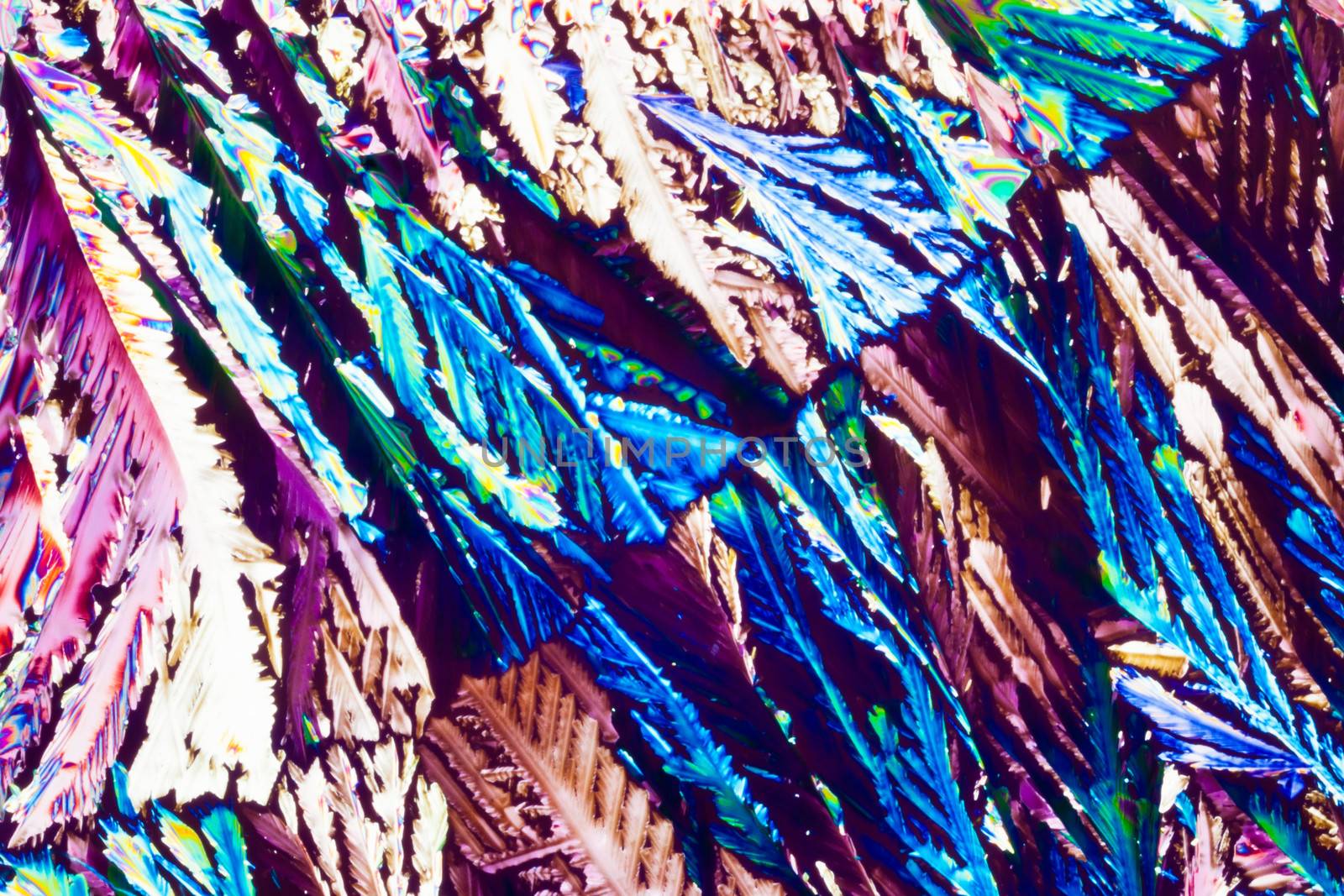 Colorful appearance of crystals of hydroquinone or quinol, a photographic film developer, in polarized light.