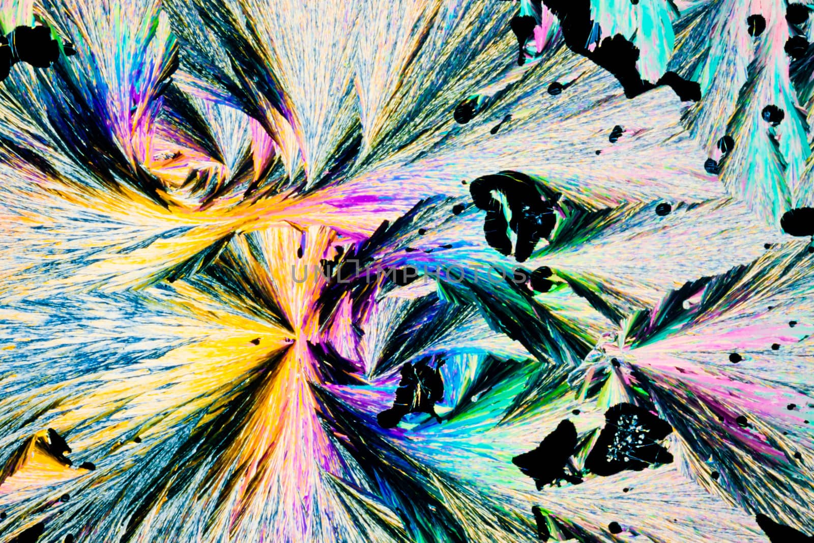 Colorful appearance of crystals of benzoic acid, a food preserving additive, in polarized light.