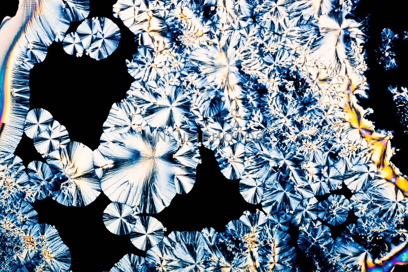 Ascorbic acid crystals in polarized light by PiLens