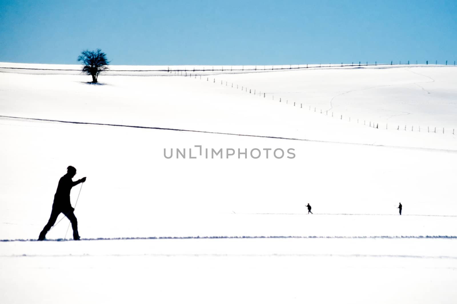 Cross country skier skiing open expanse of snow by PiLens