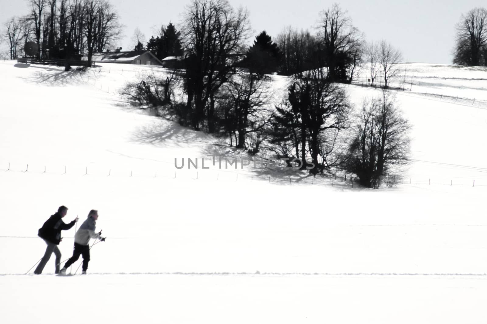 Cross country skiers skiing snowy winter landscape by PiLens