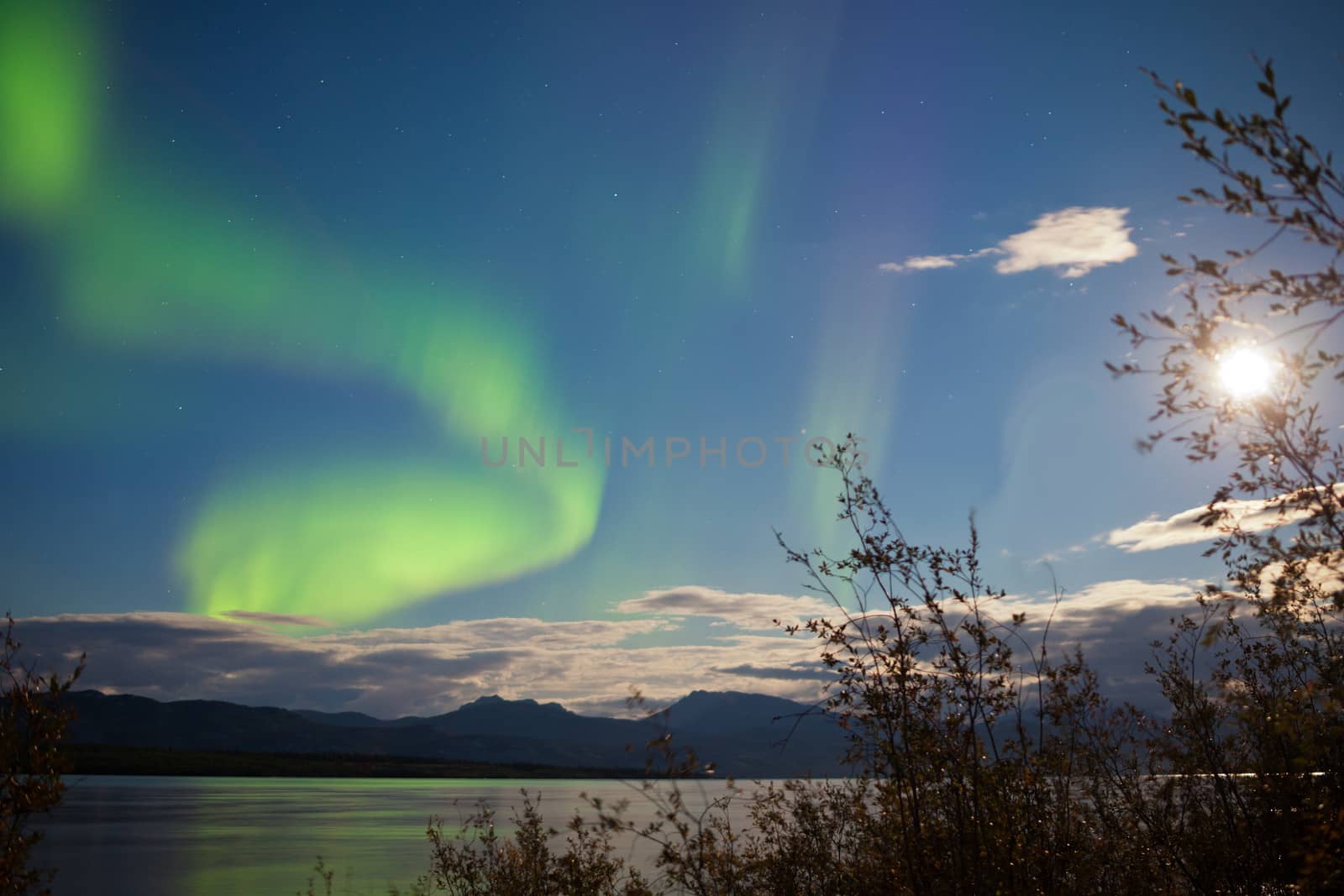 Northern Lights full moon over Lake Laberge Yukon by PiLens