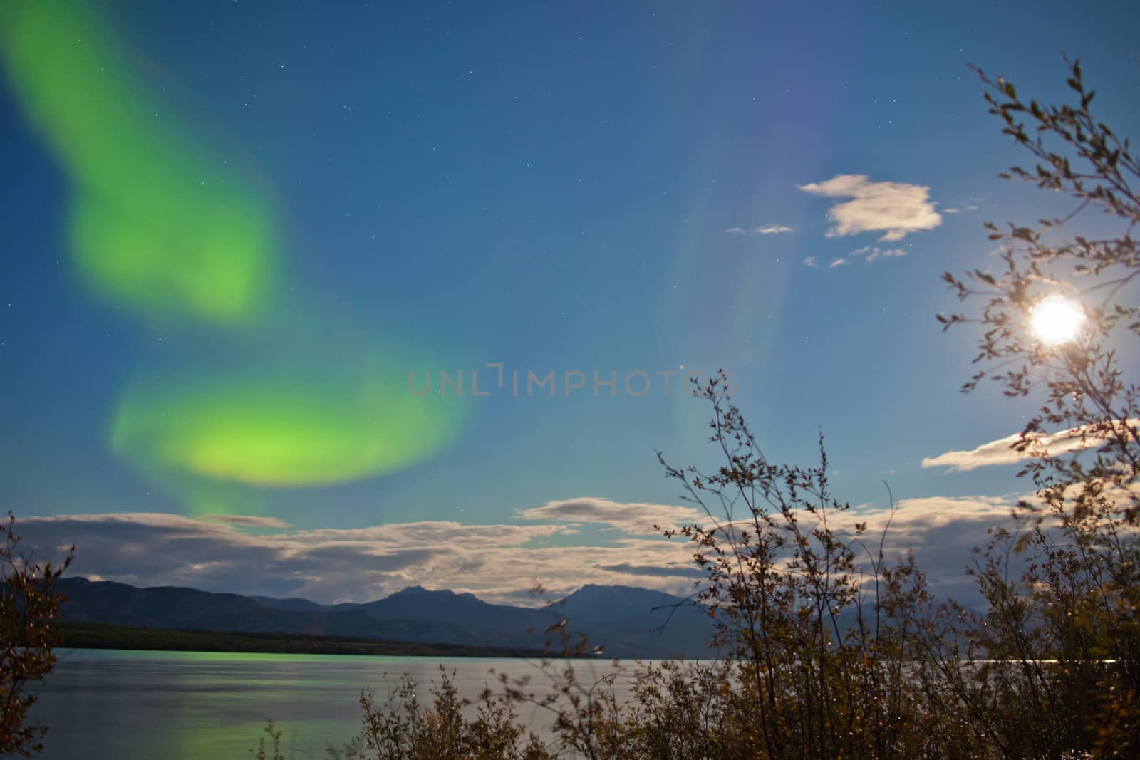 Green northern lights, Aurora borealis, on night sky with full moon and stars over boreal forest taiga of Lake Laberge, Yukon Territory, Canada