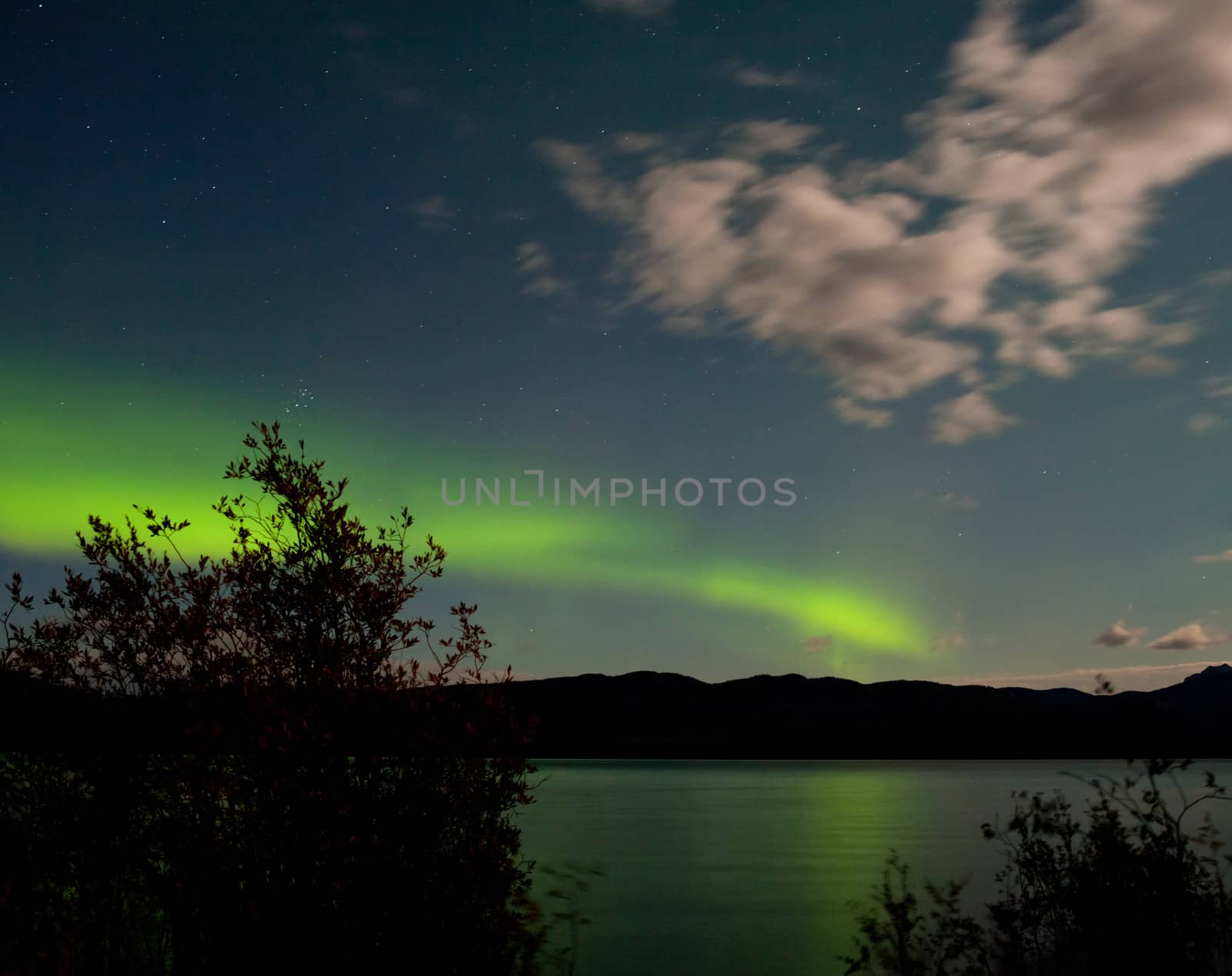 Band of green northern lights, Aurora borealis, on night sky with moon-lit clouds and stars over boreal forest taiga of Lake Laberge, Yukon Territory, Canada