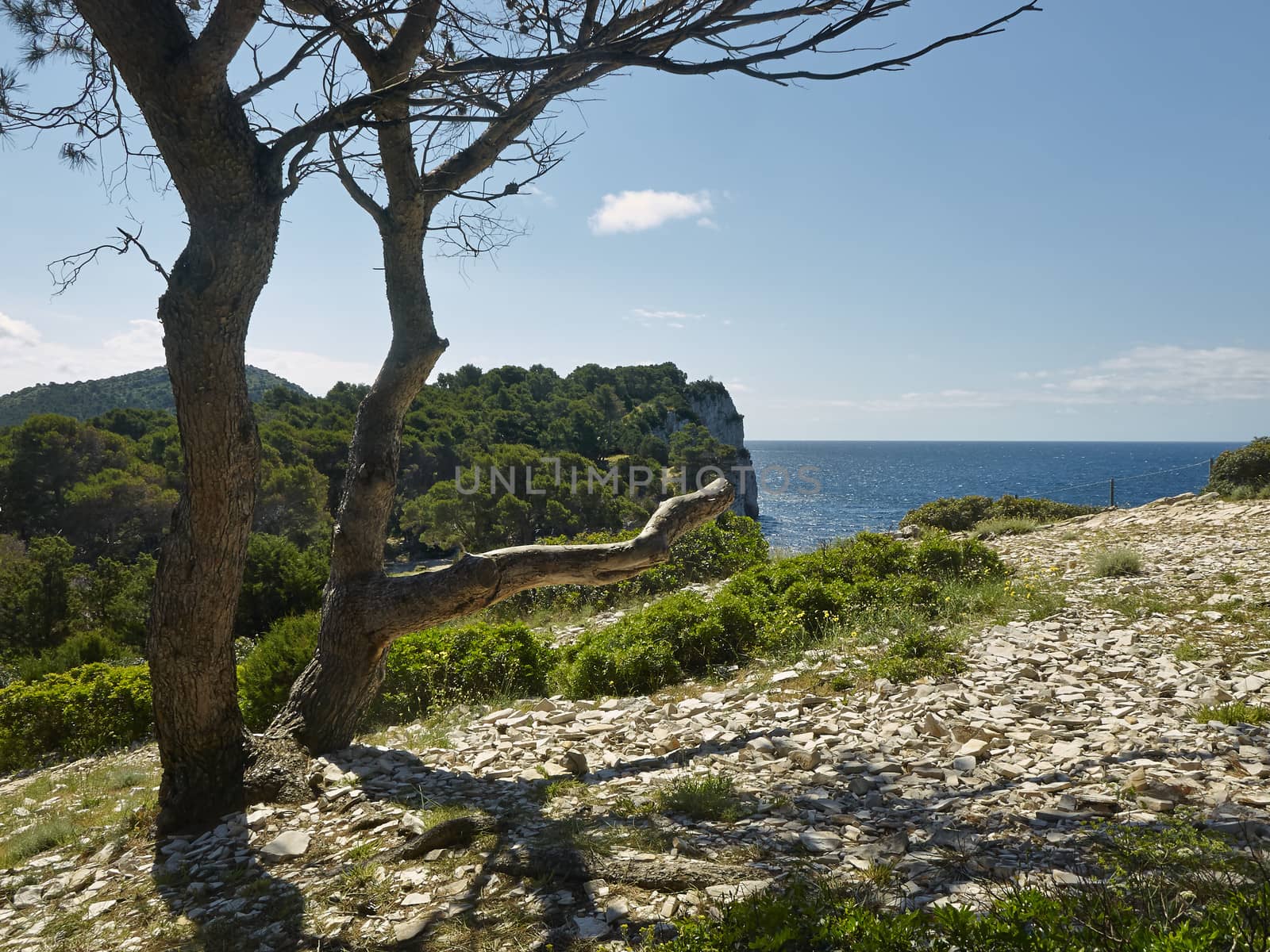 Nature park Telascica, Dugi otok, Croatia       