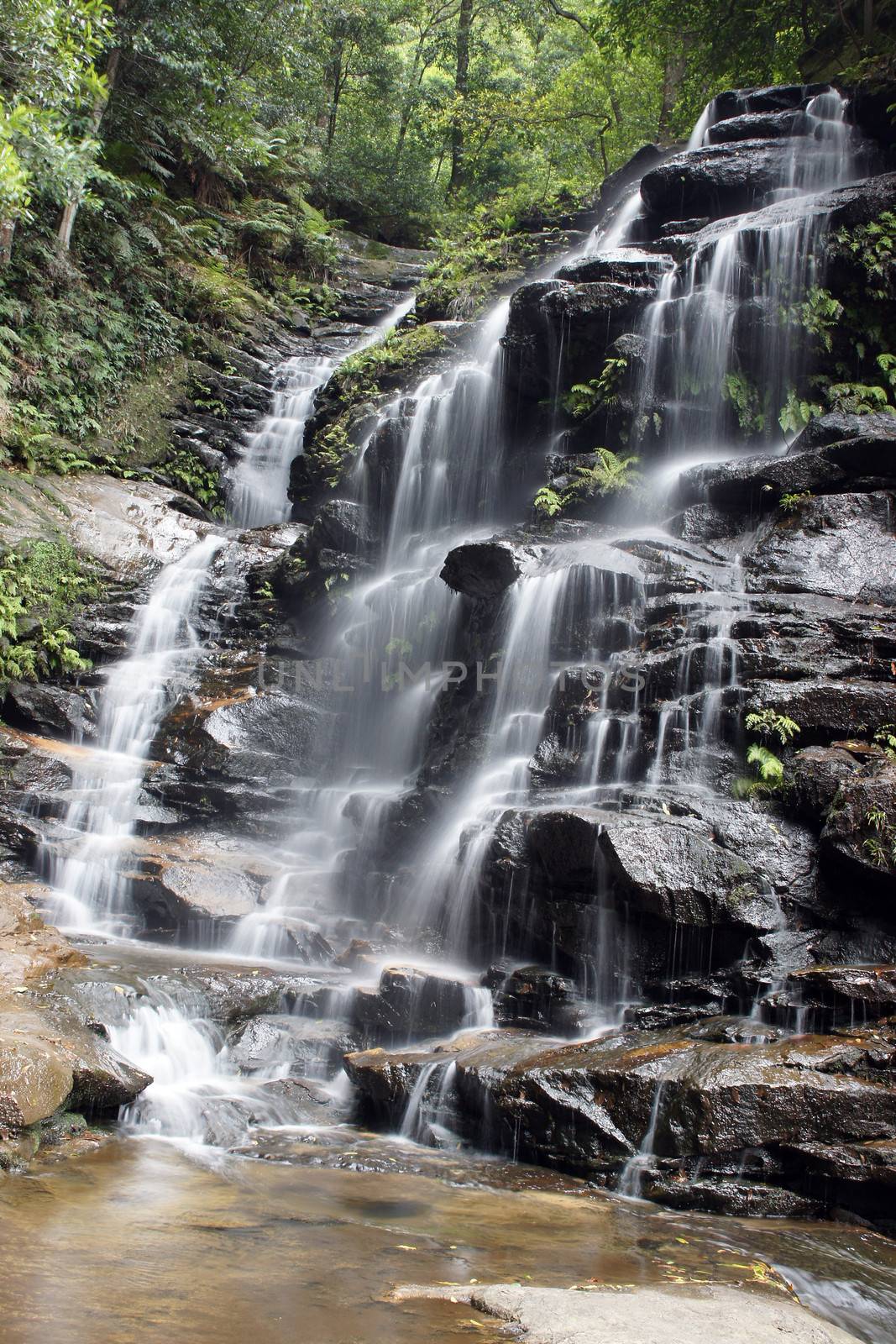 Sylvia Falls, Valley of the Waters, Blue Mountains, Australia