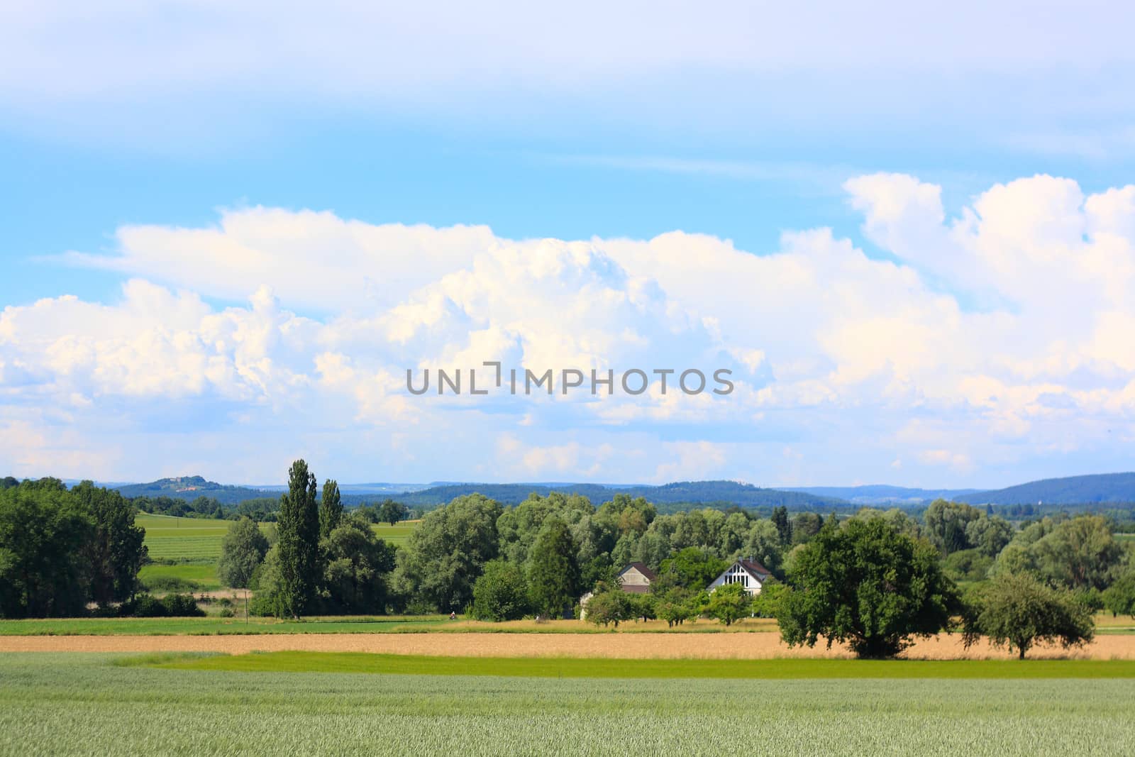 beautiful landscape with clouds, trees and fields 