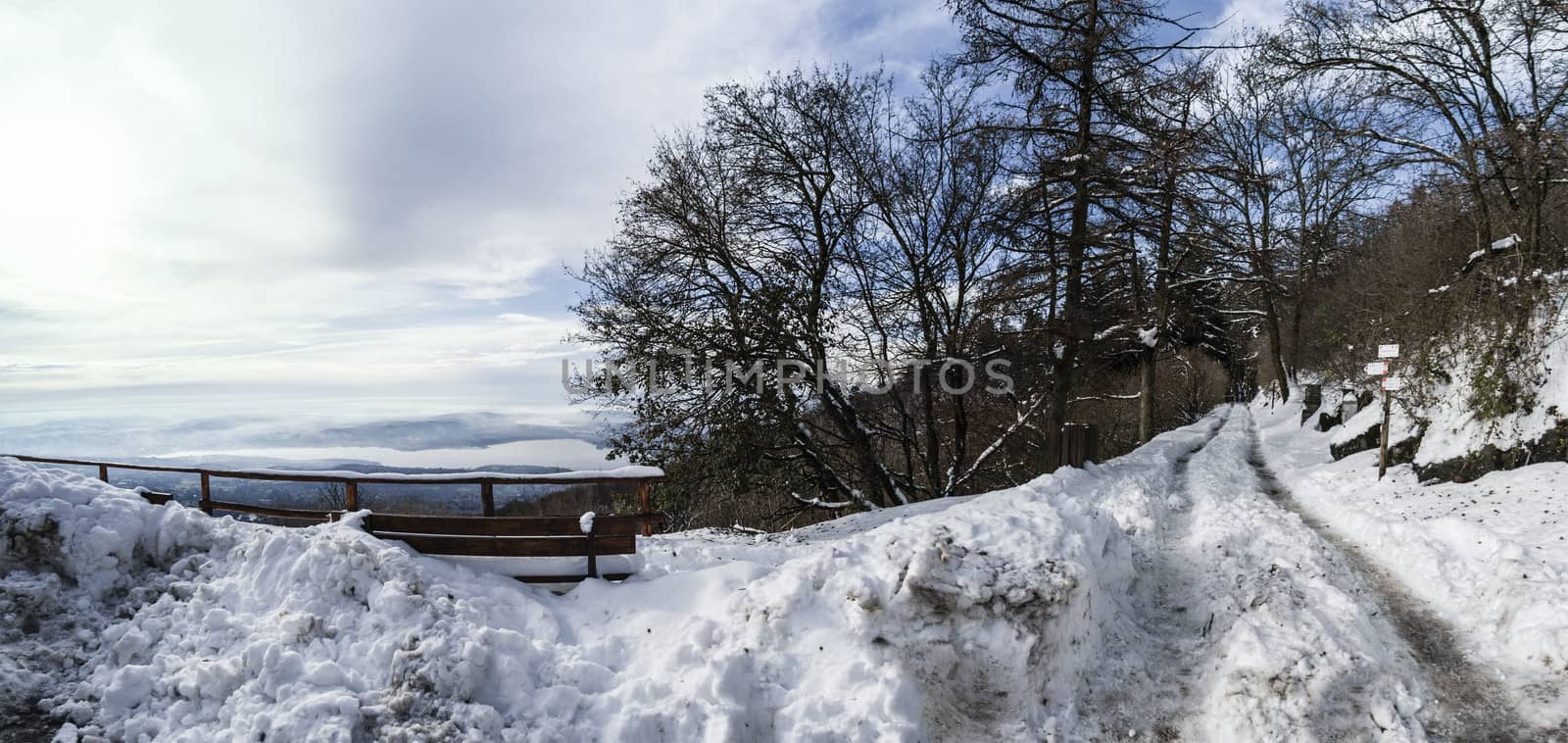 Winter landscape, Campo dei Fiori - Varese, Italy by Mdc1970