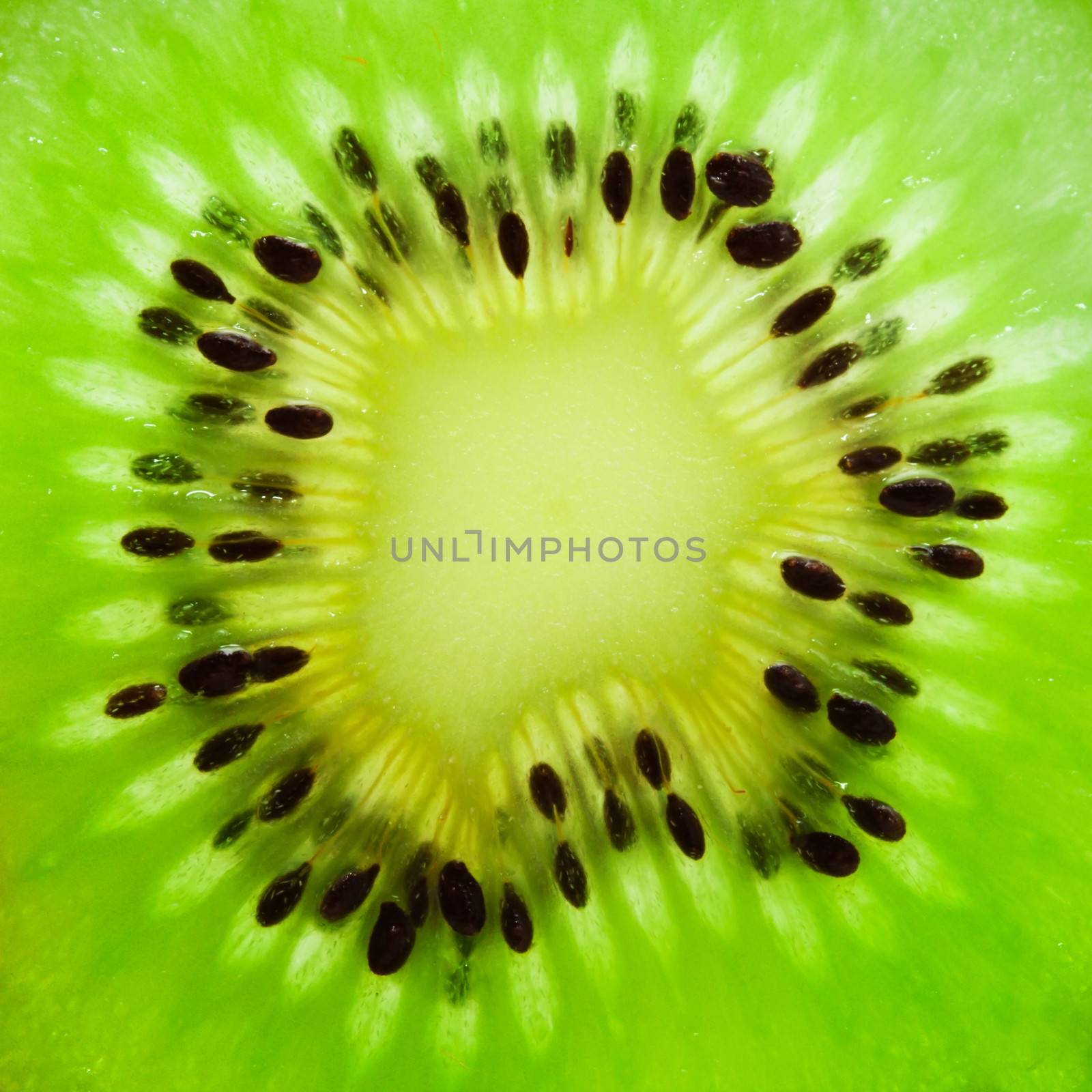 Macro photo of fresh juicy kiwi fruit
