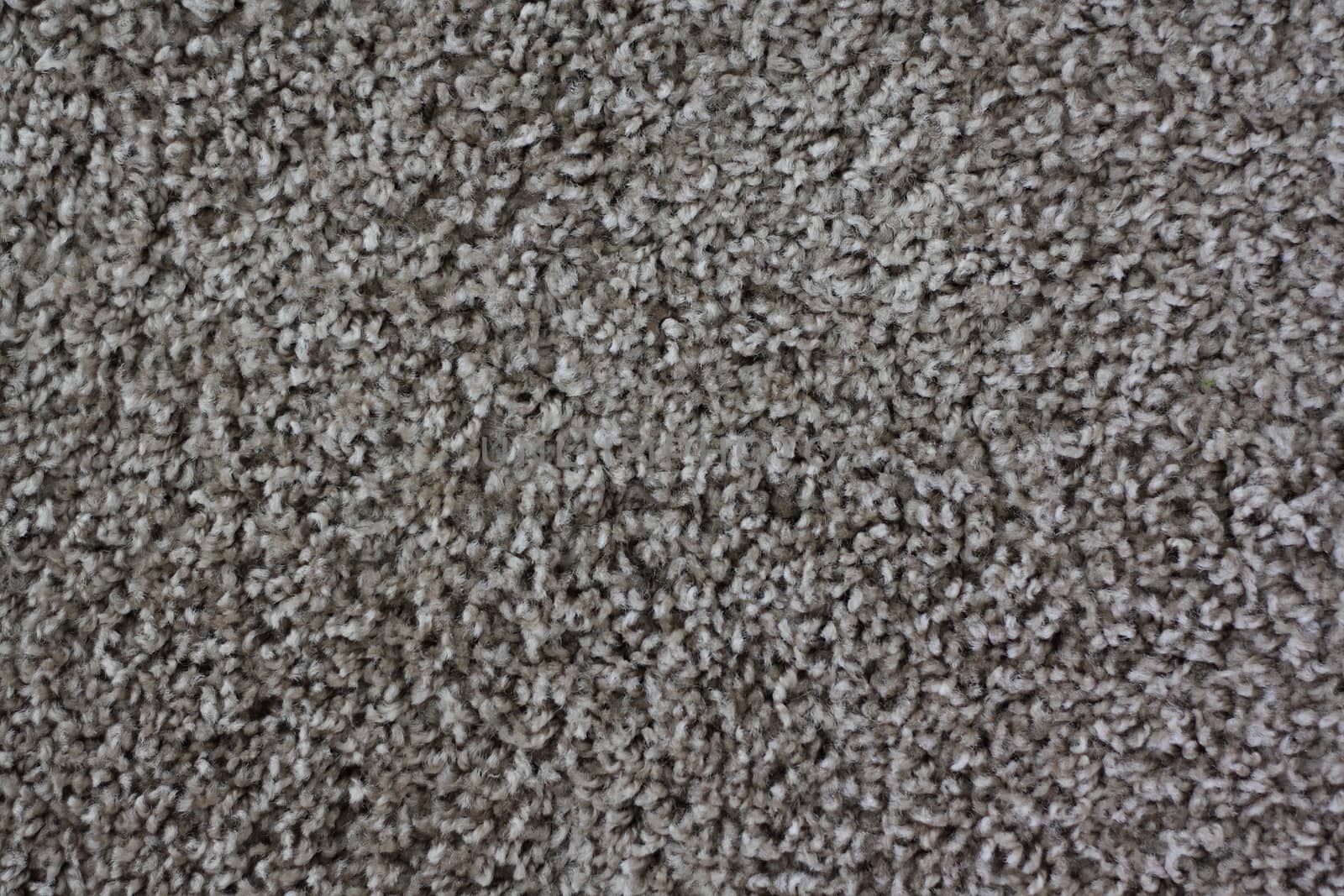 gray carpeting in close-up can be used as a background 