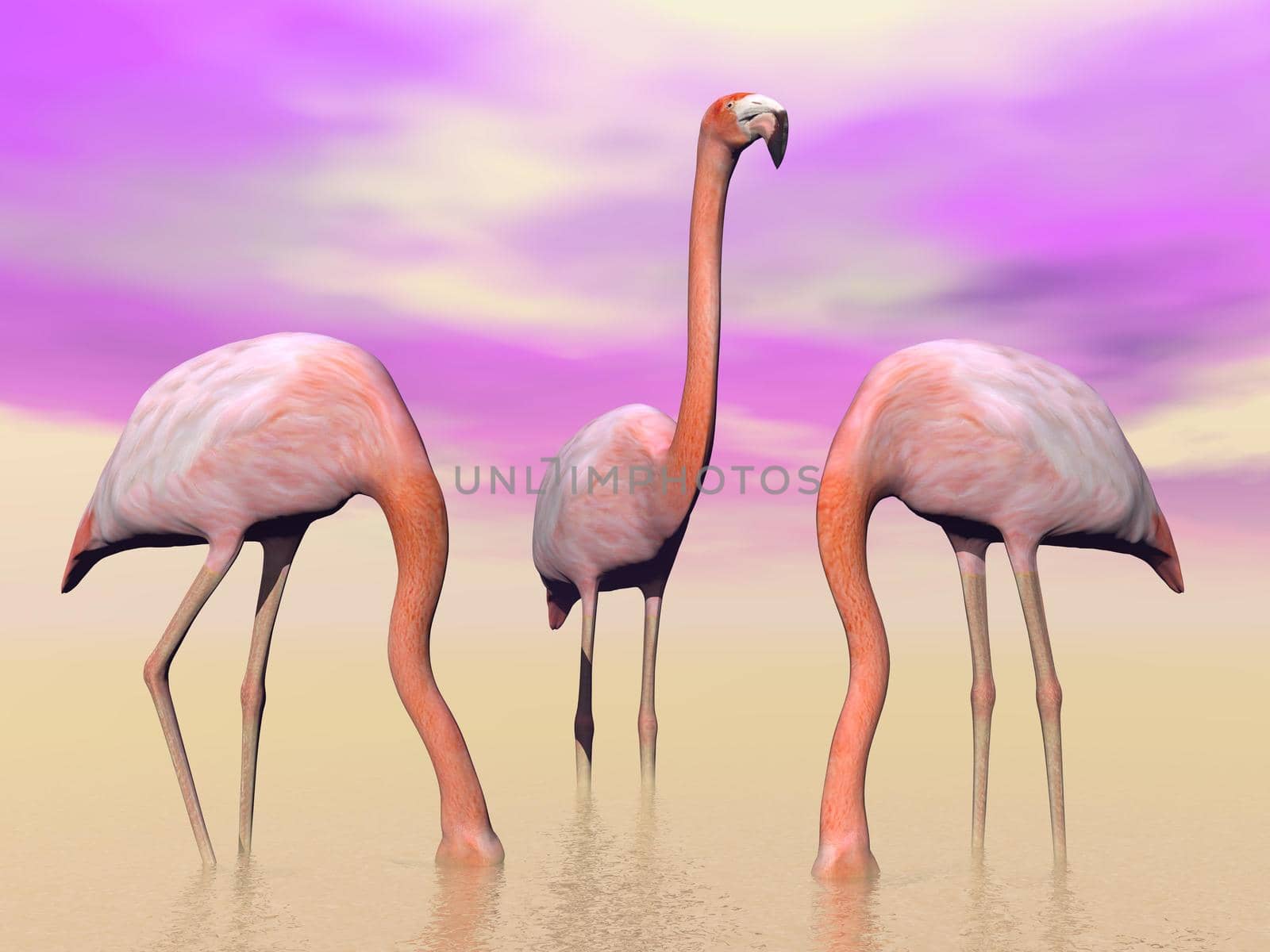 Flamingos in water - 3D render by Elenaphotos21