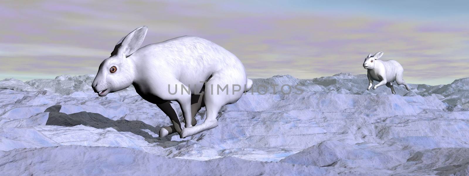 Arctic hares - 3D render by Elenaphotos21