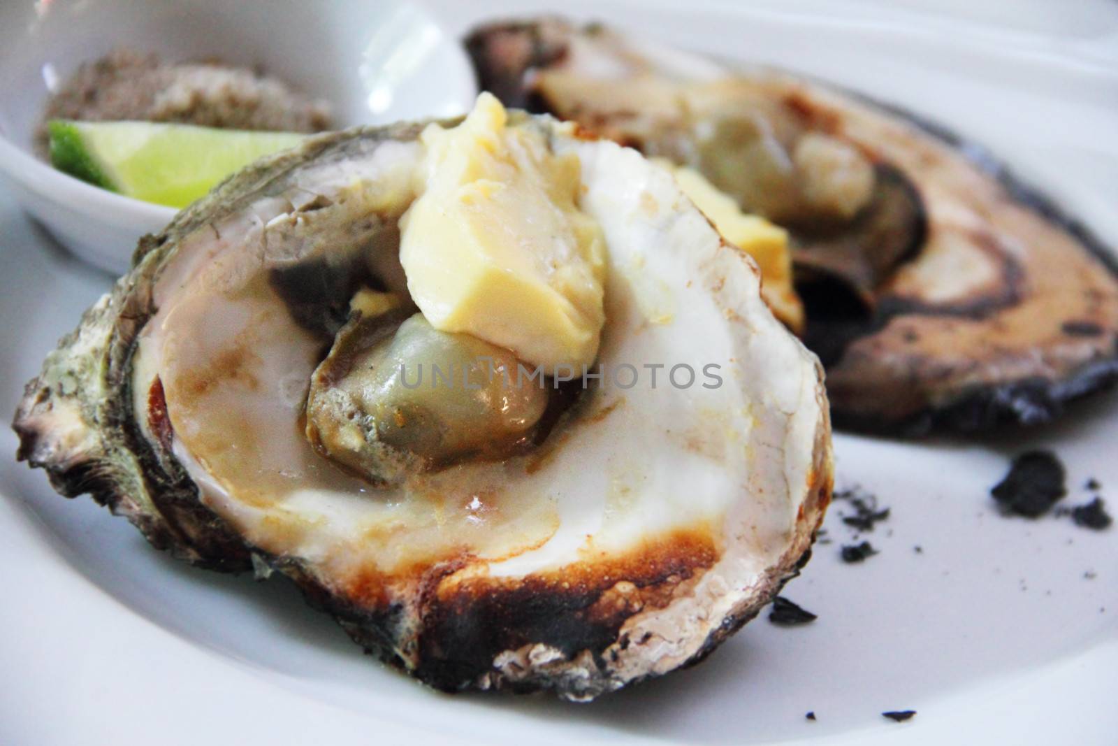 Cooked Oysters with cheese on plate close up