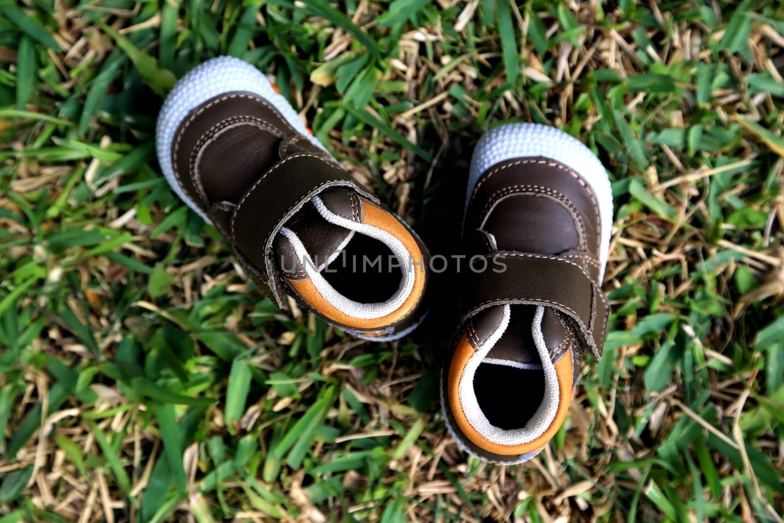 Baby's first shoes by tolikoff_photography