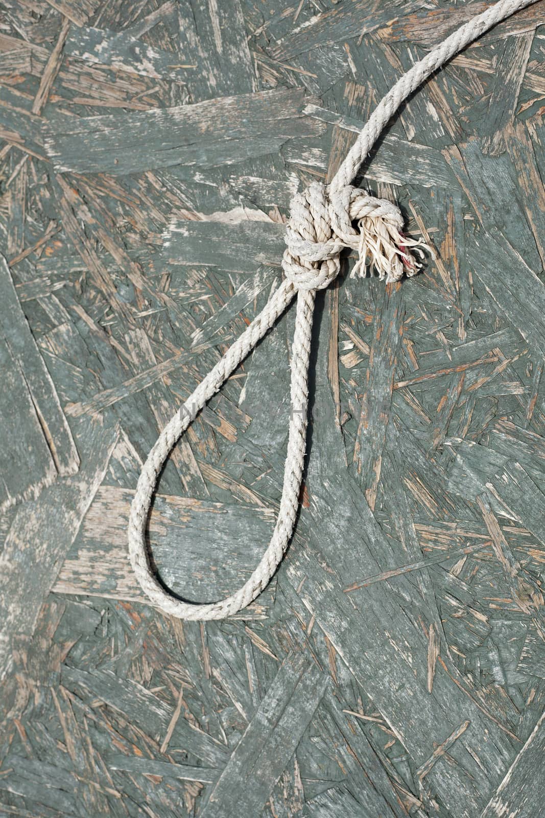 Rope noose over wooden background