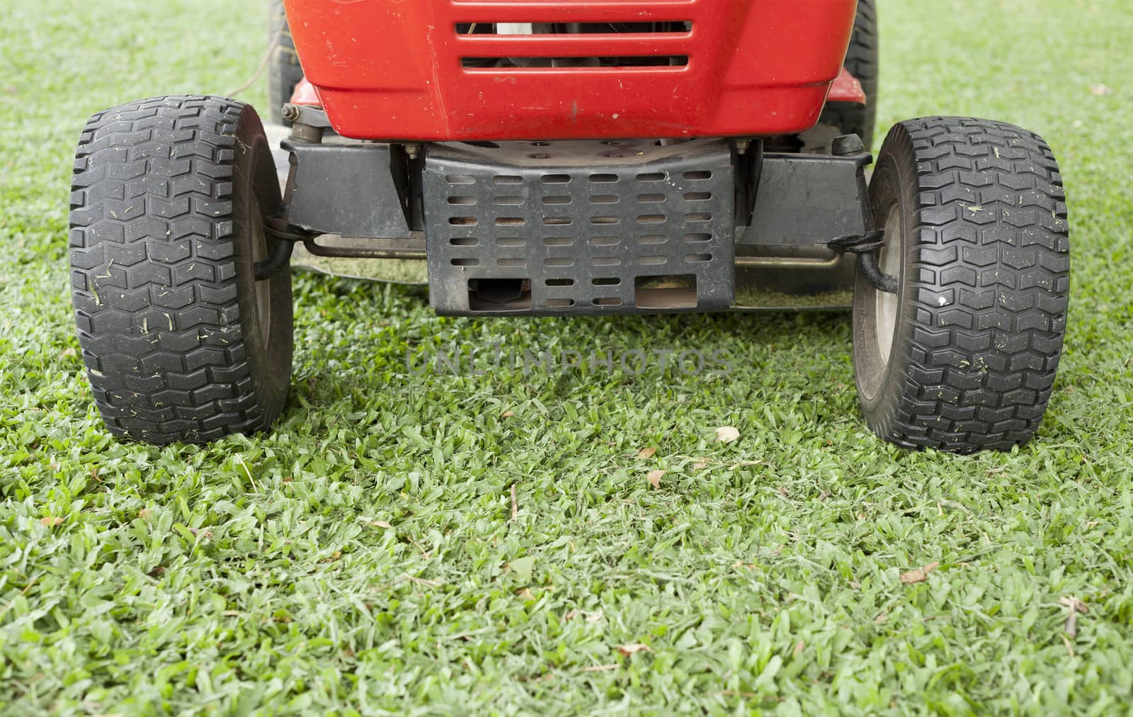 Wheel on the green grass