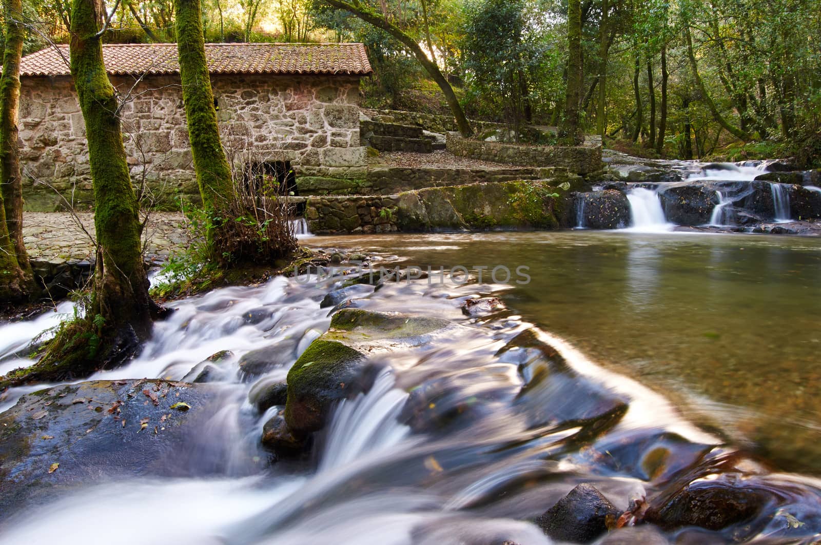 Old Galician water mill in a wood