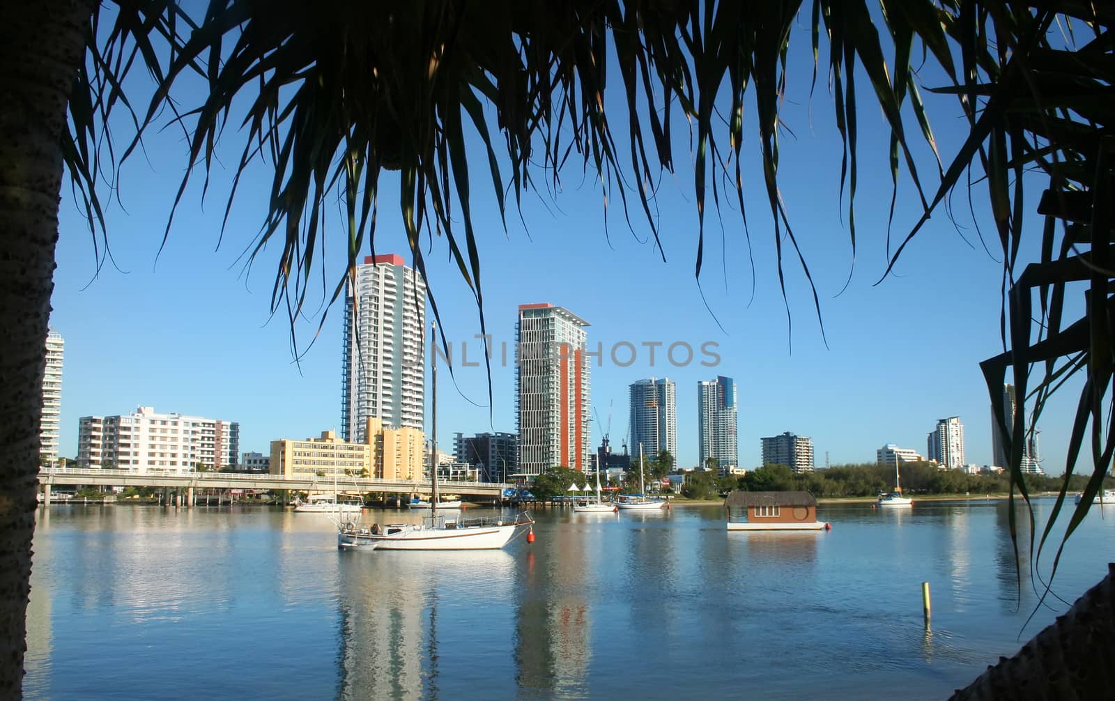 City of Southport on the Gold Coast Australia seen across the Nerang River just after sunrise.