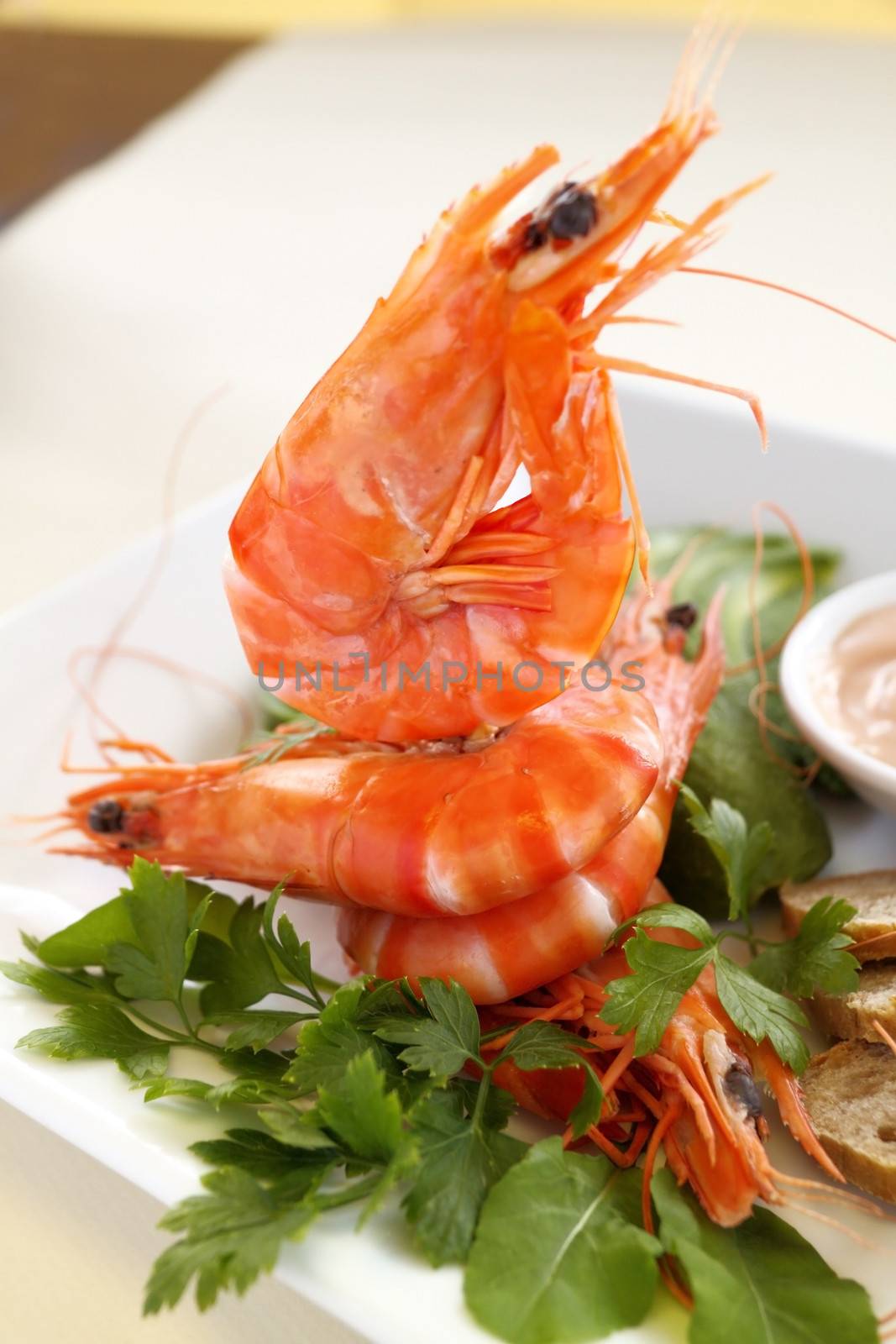 Fresh shrimps with rye bread and fresh garden salad ready to serve.