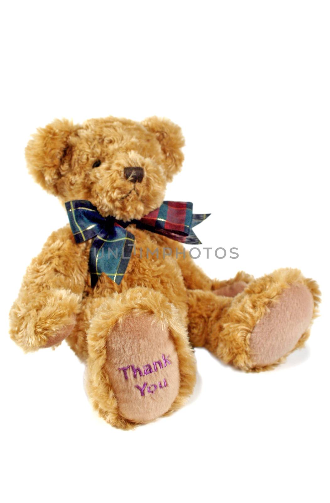 Thank you teddy bear with thank you on his paw.