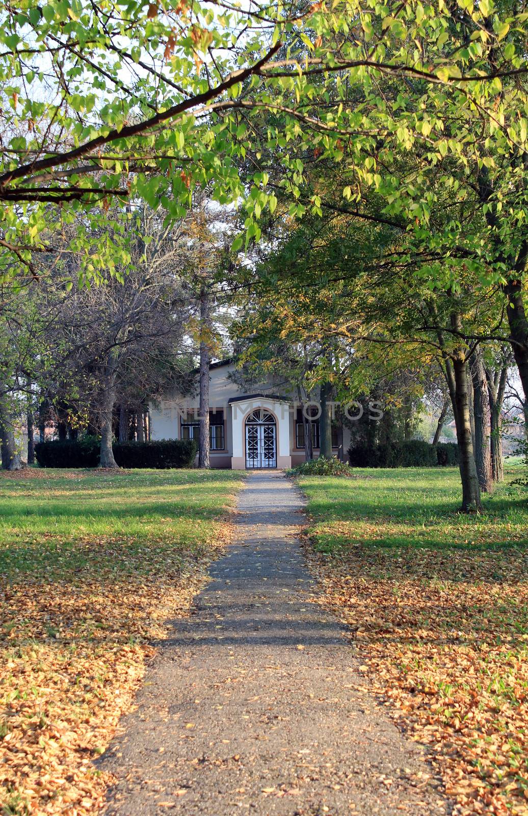 old house in autumn park by goce