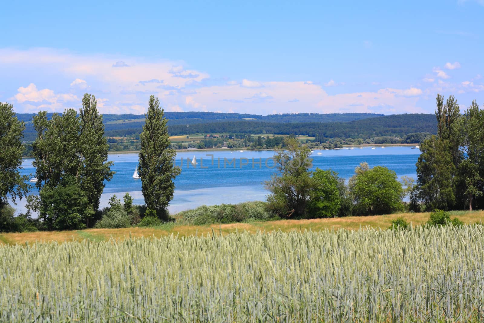 beautiful landscape with clouds, trees and fields and view of lake of contance 