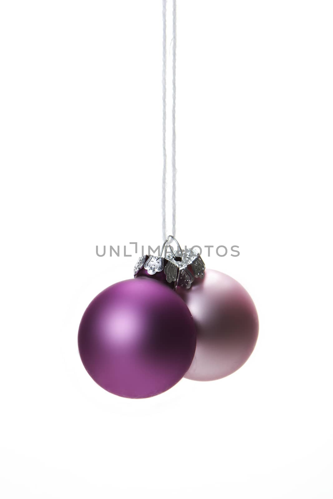 pink christmas balls isolated hanging with white background 